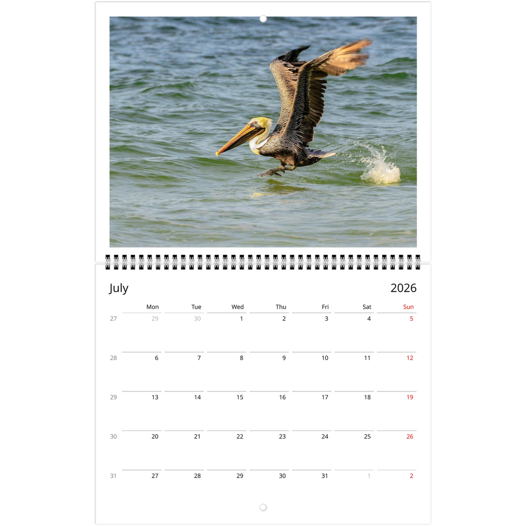 39ecbe3a-7434-4b1f-885d-ecad10726e87