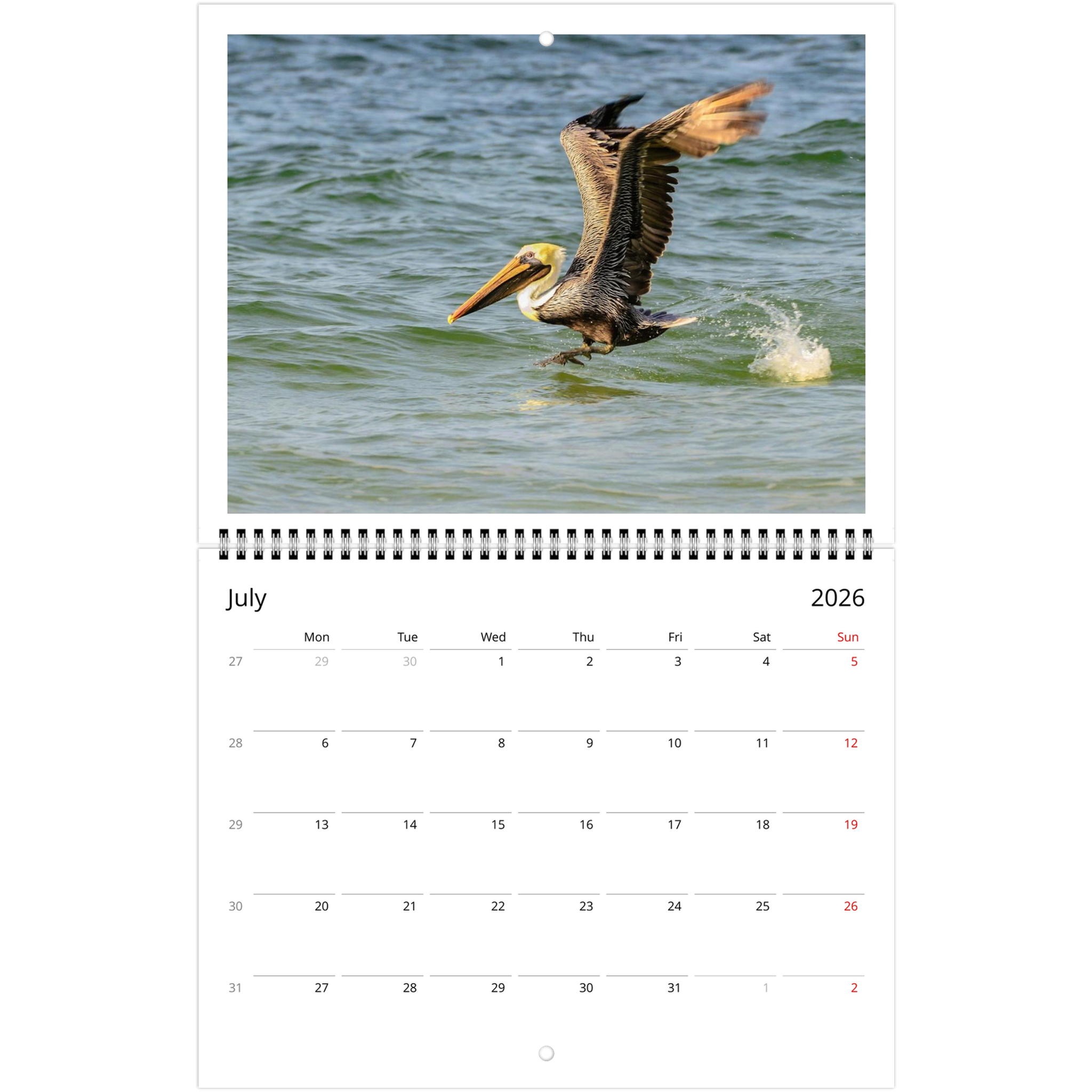 39ecbe3a-7434-4b1f-885d-ecad10726e87