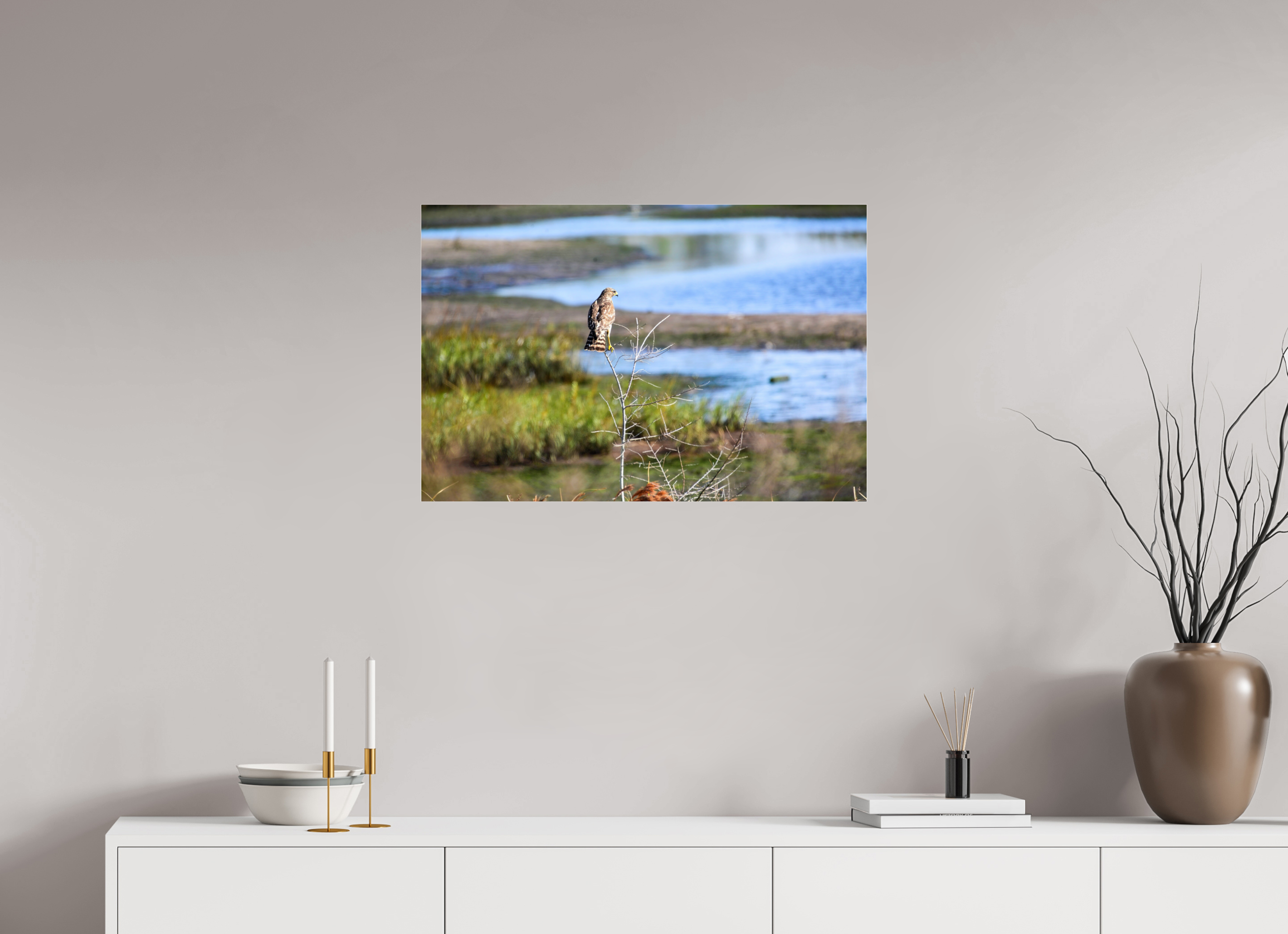 30 x 20″, Photo Print Fuji Crystal Archive Under Acrylic Glass Guardian of the Marsh