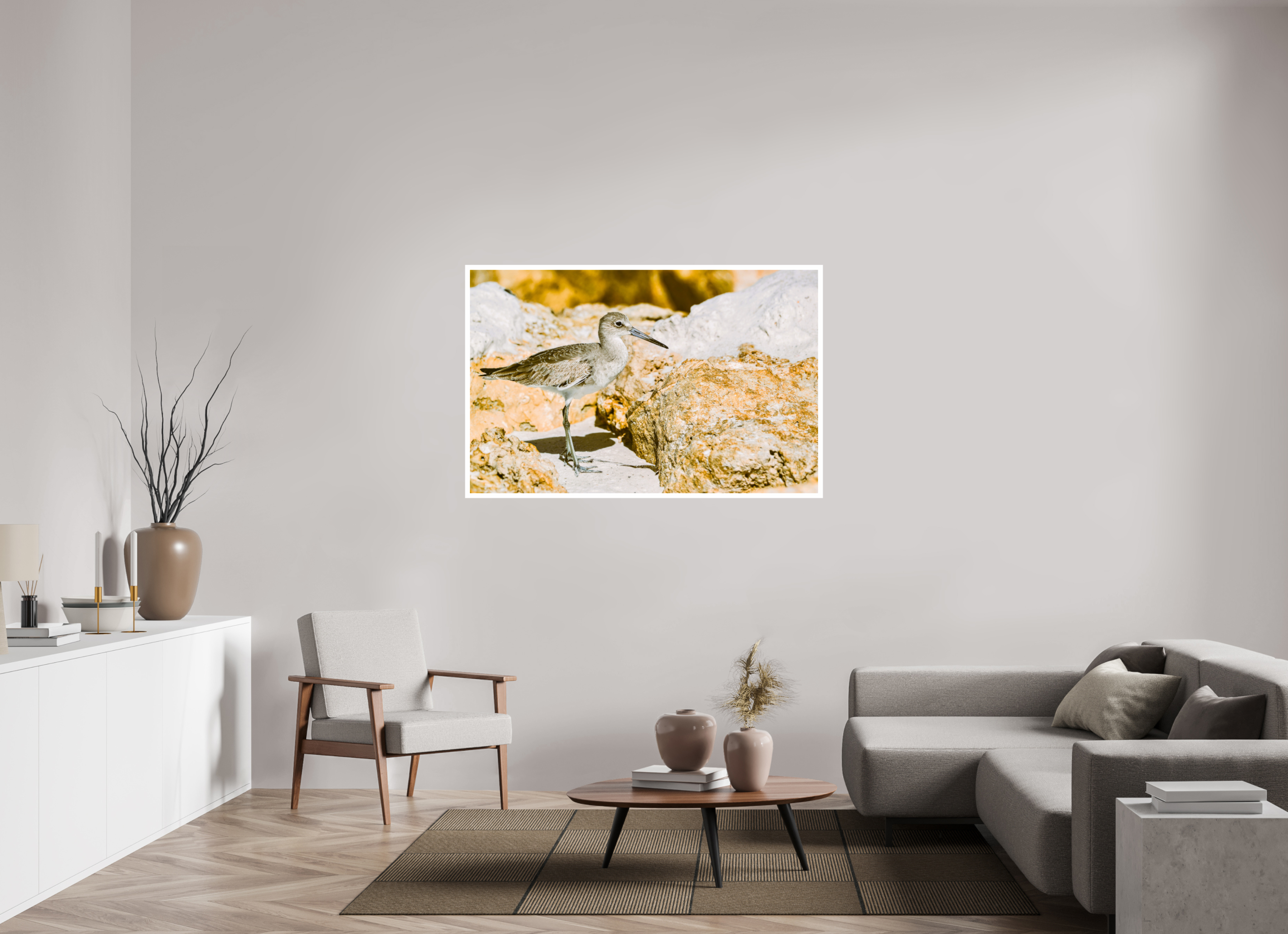 56.1 x 36″, Hahnemühle FineArt Pearl Print, .79" white border The Sunny Willet