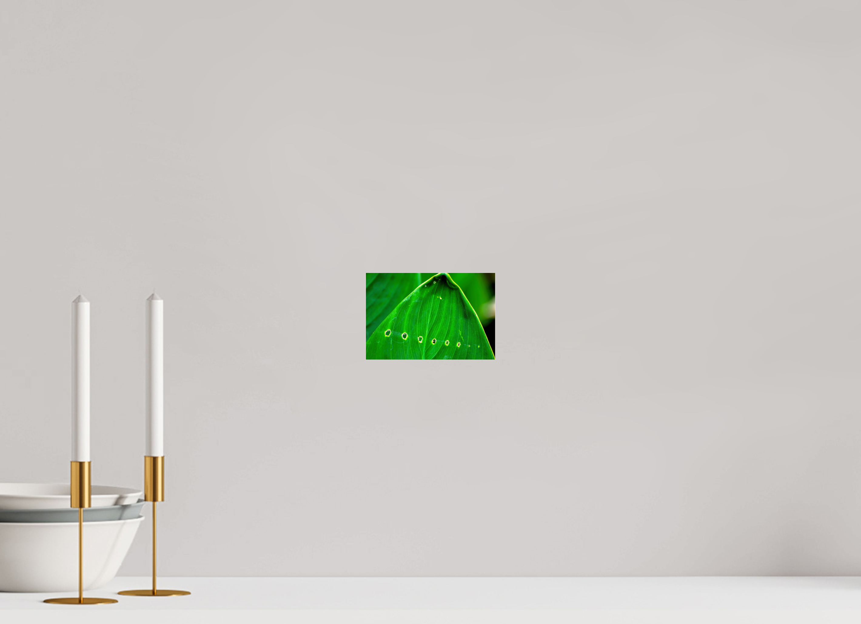 6 x 4″, Photo Print Fuji Crystal Archive Under Acrylic Glass Linear Progression in Green