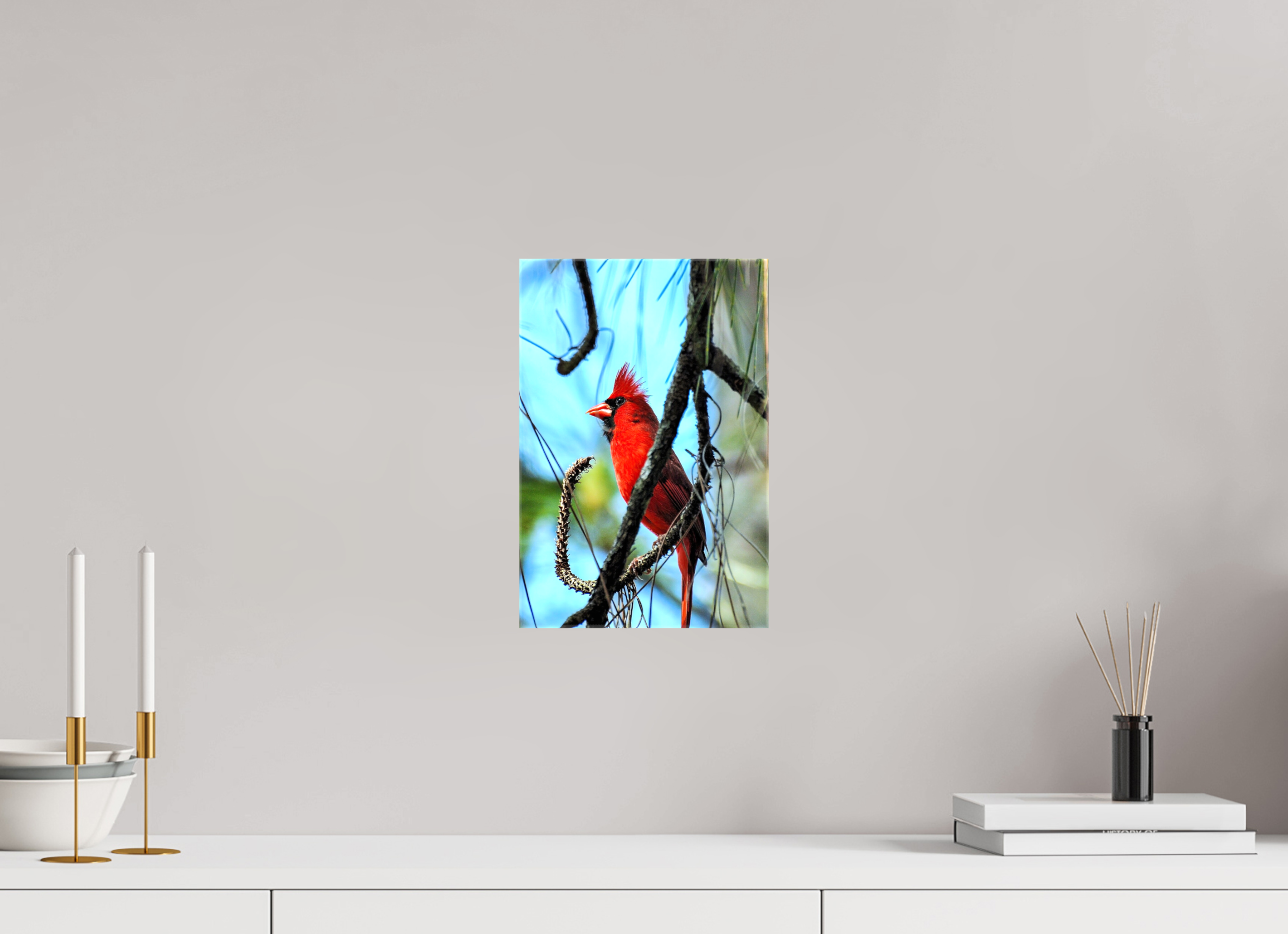 8 x 12″, Glossy Canvas on Stretcher Frame, 1,57" Wrapped The Corkscrew Cardinal
