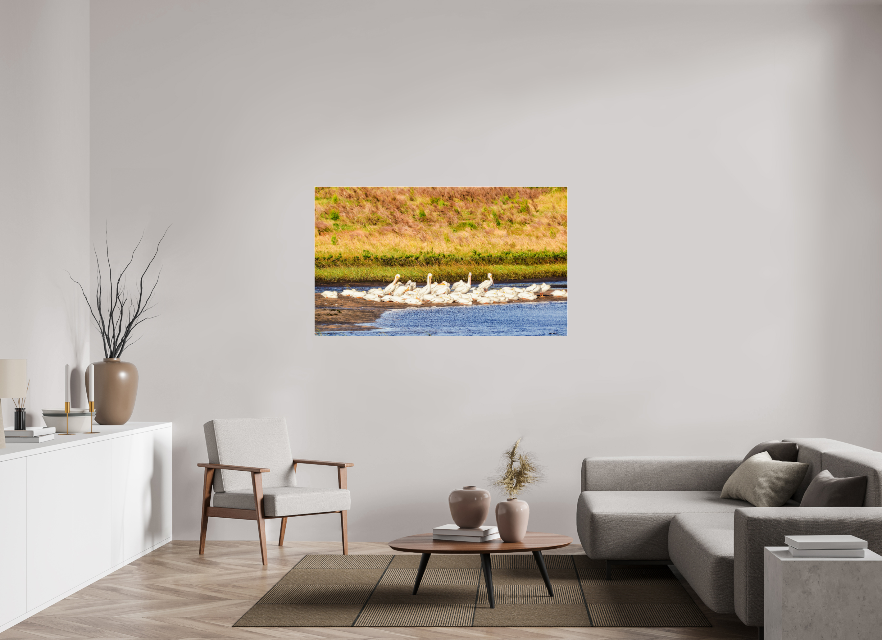 59.3 x 35″, Metallic Photo Print Under Acrylic Glass White Pelicans Golden Hour Gathering