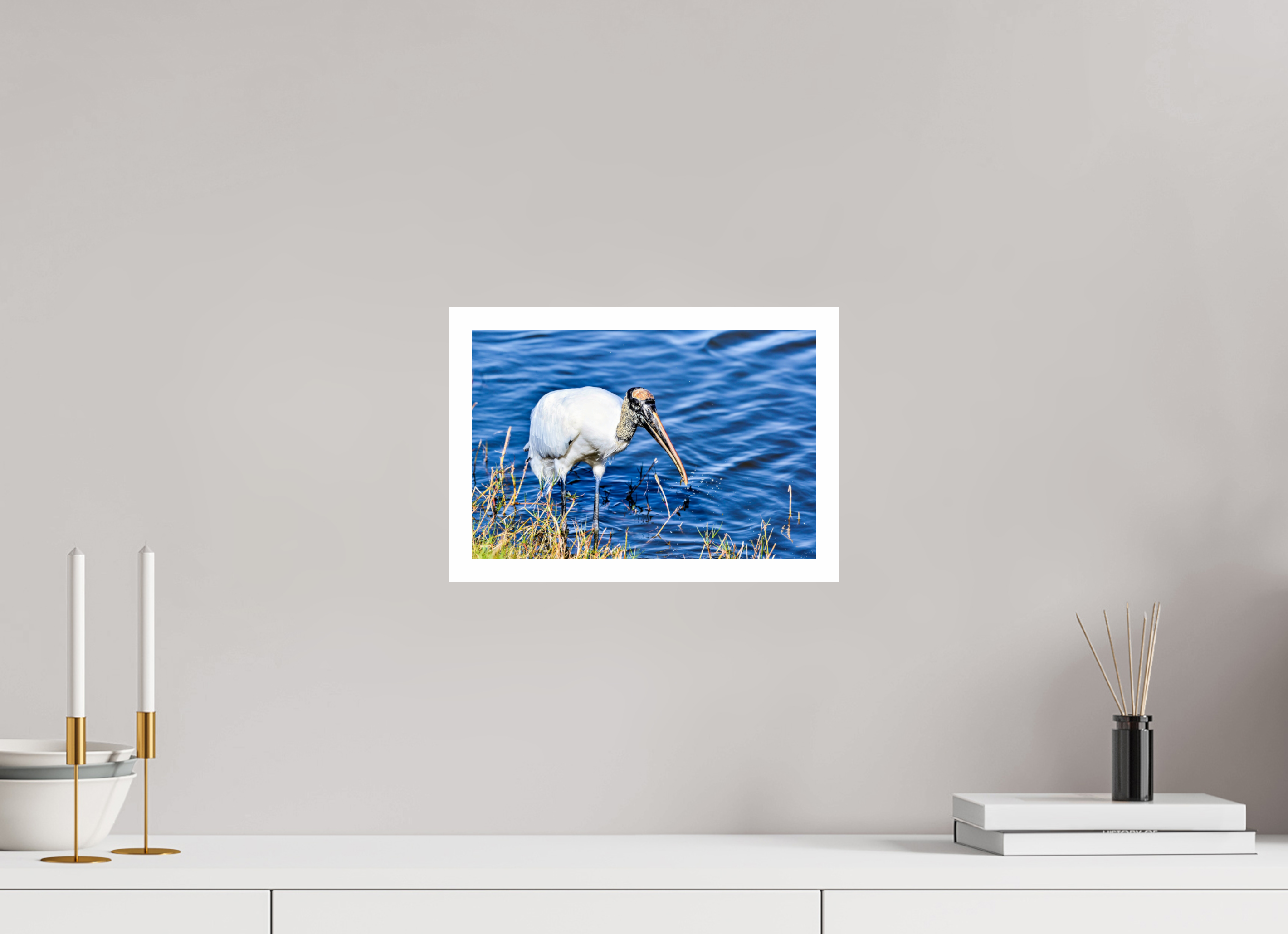 12 x 8″, Hahnemühle FineArt Pearl Print, .79" white border The Morning Catch: Wood Stork in Action