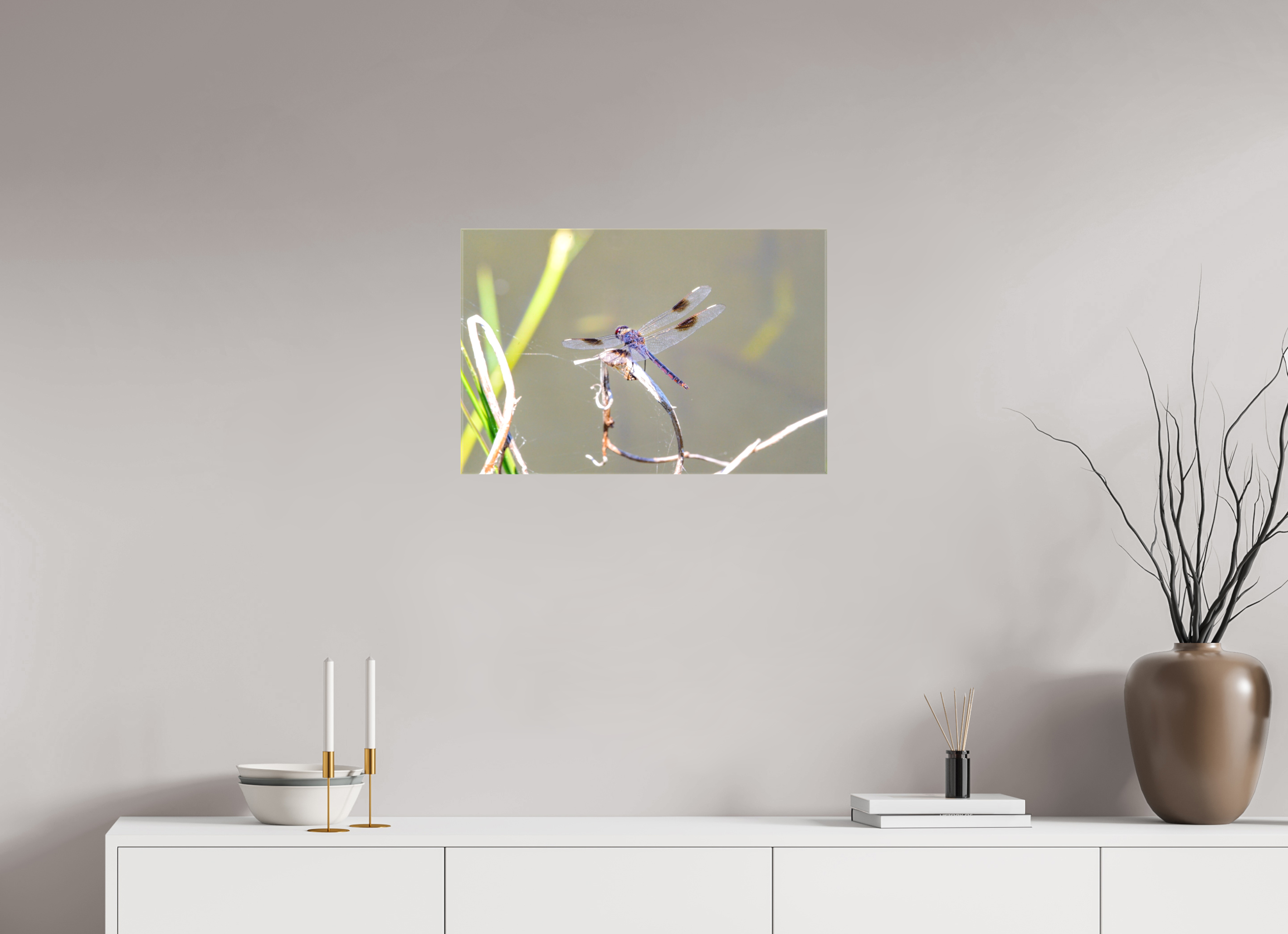 24 x 16″, Glossy Canvas on Stretcher Frame, 1,57" Wrapped Pennant Dragonfly in the Marsh