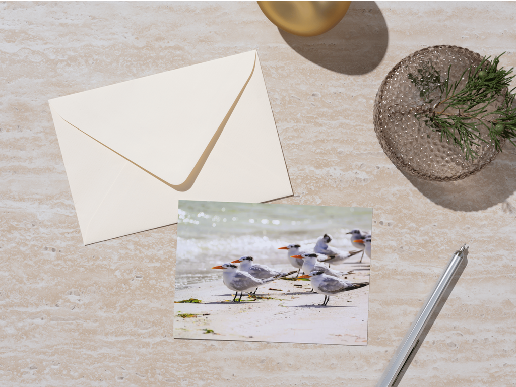 3e58b1dd-7ab2-4e16-9c4a-91e70f275bfc