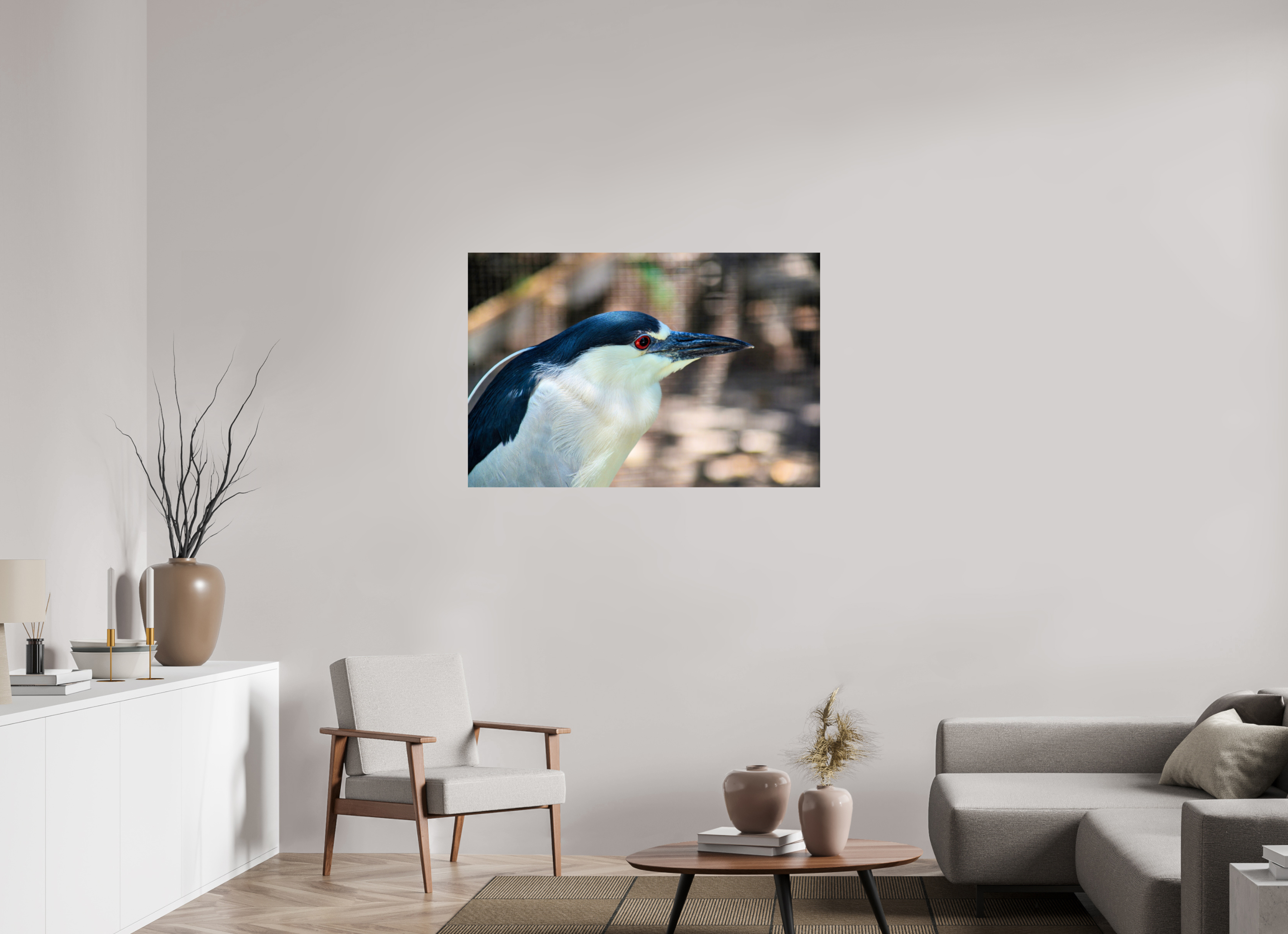 45 x 30″, Photo Print On Fuji Crystal DP II Black-crowned Night Heron