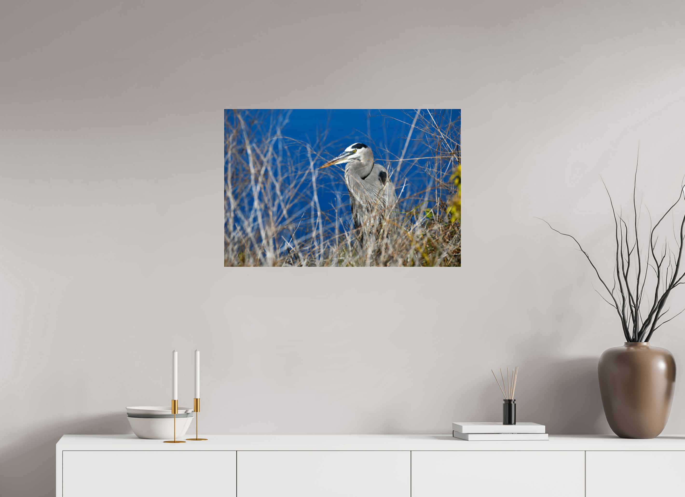 30 x 20″, Photo Print Fuji Crystal Archive Under Acrylic Glass Hidden Majesty: Great Blue Heron