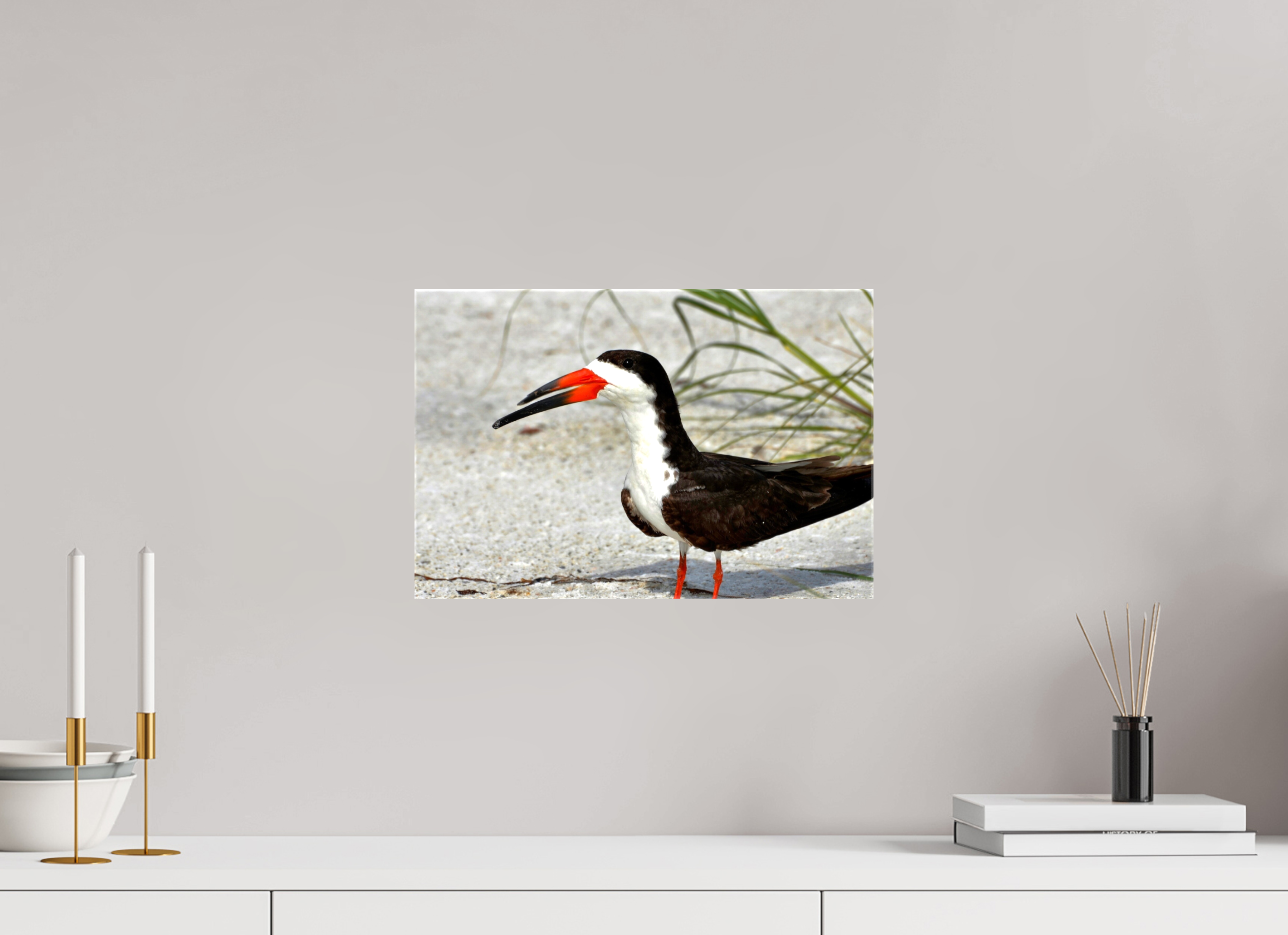 15 x 10″, Glossy Canvas on Stretcher Frame, 1,57" Wrapped Sand & Black Skimmer