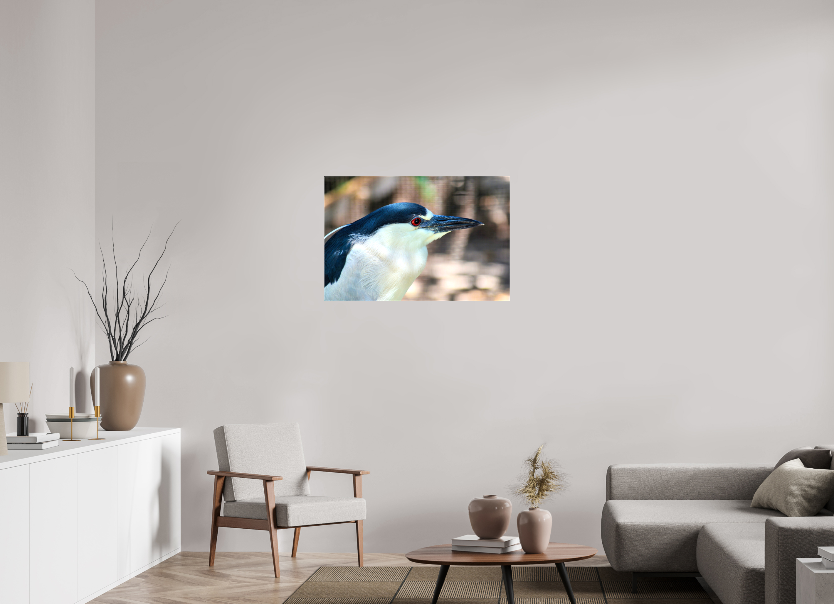 36 x 24″, Glossy Canvas on Stretcher Frame, 1,57" Wrapped Black-crowned Night Heron