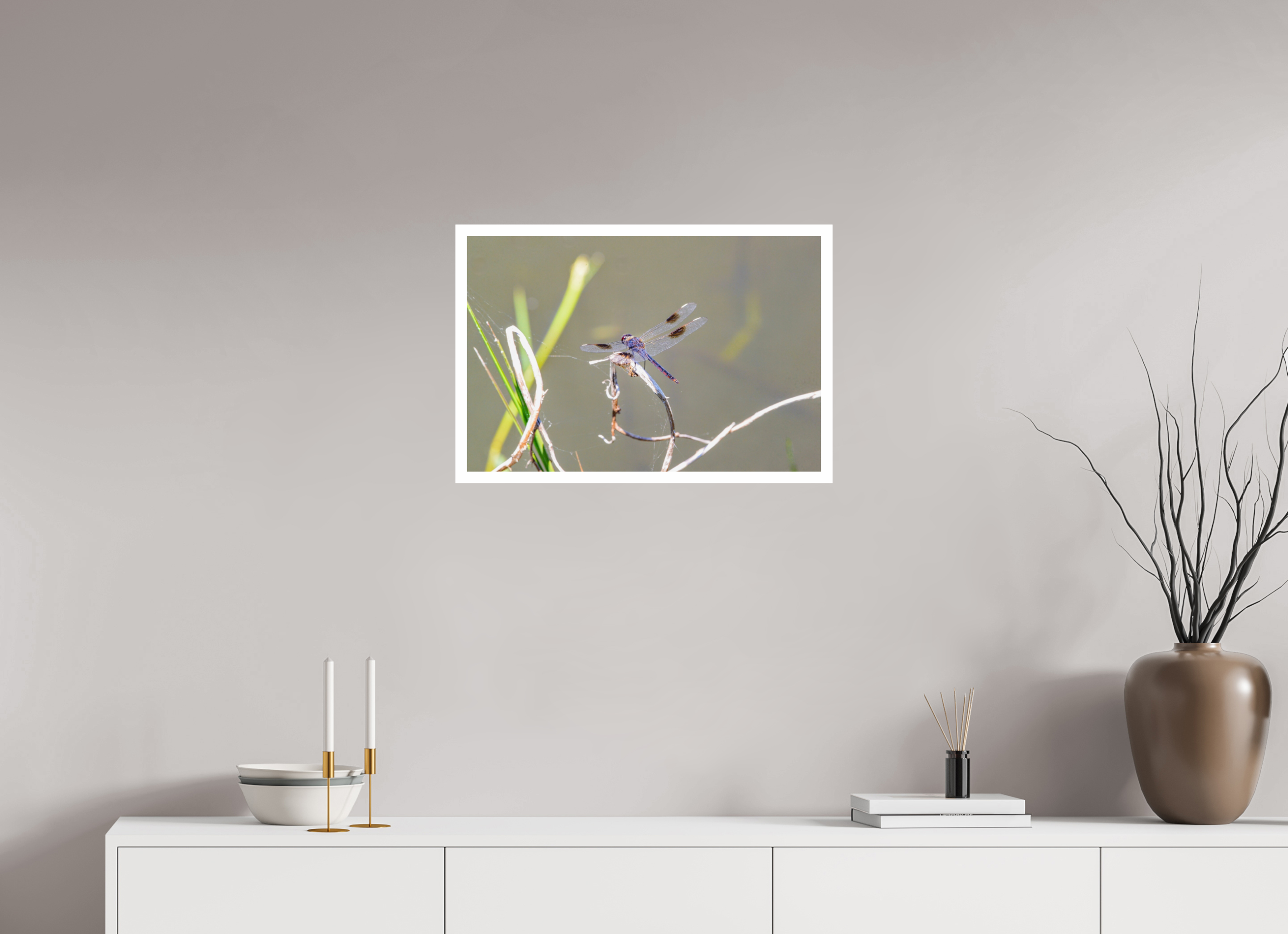 24 x 16″, Hahnemühle FineArt Pearl Print, .79" white border Pennant Dragonfly in the Marsh