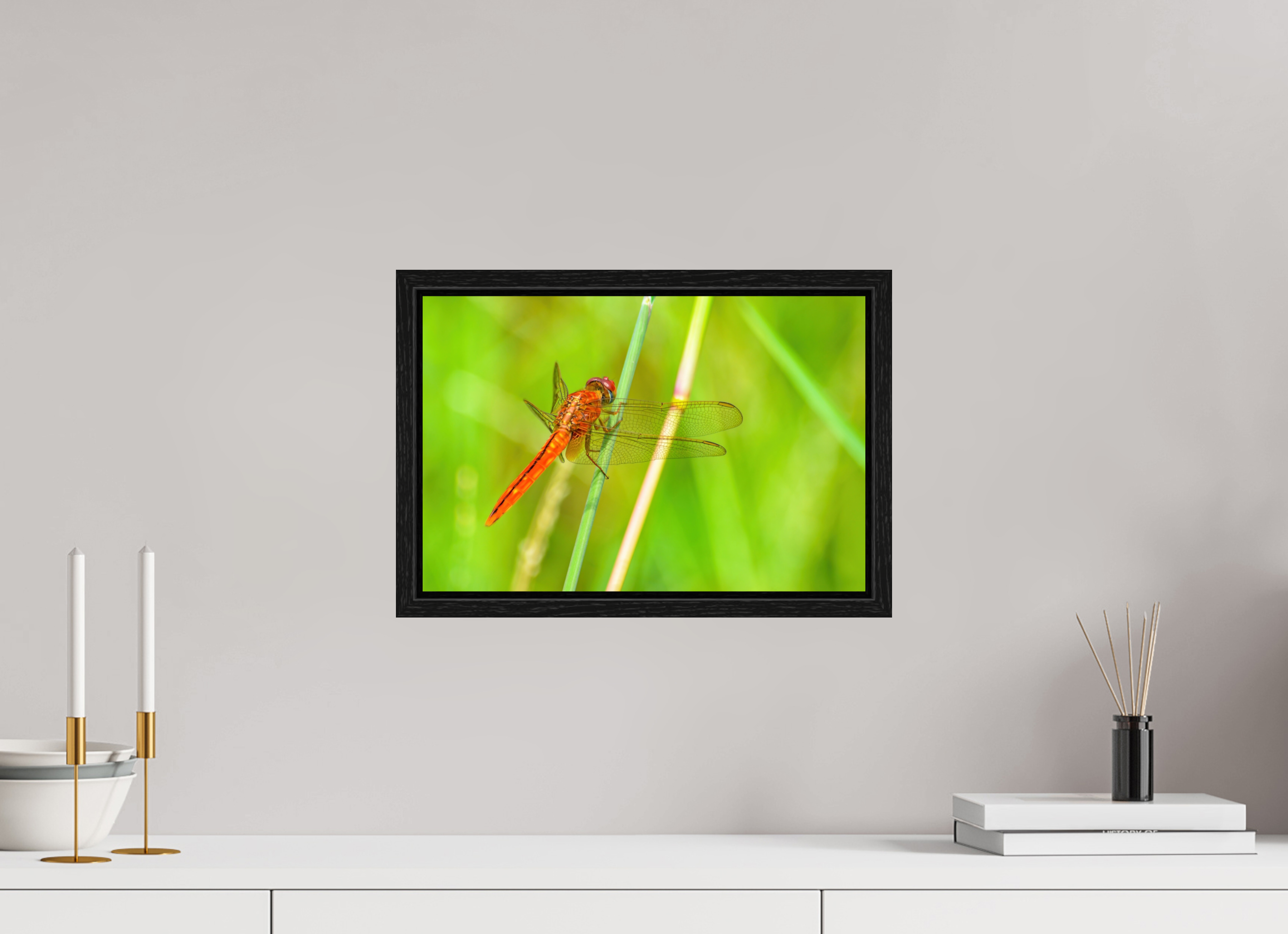 15 x 10″, Floater Frame, Basel 0.6", Black Oak, Glossy Acrylic Glass Resting Scarlet Skimmer