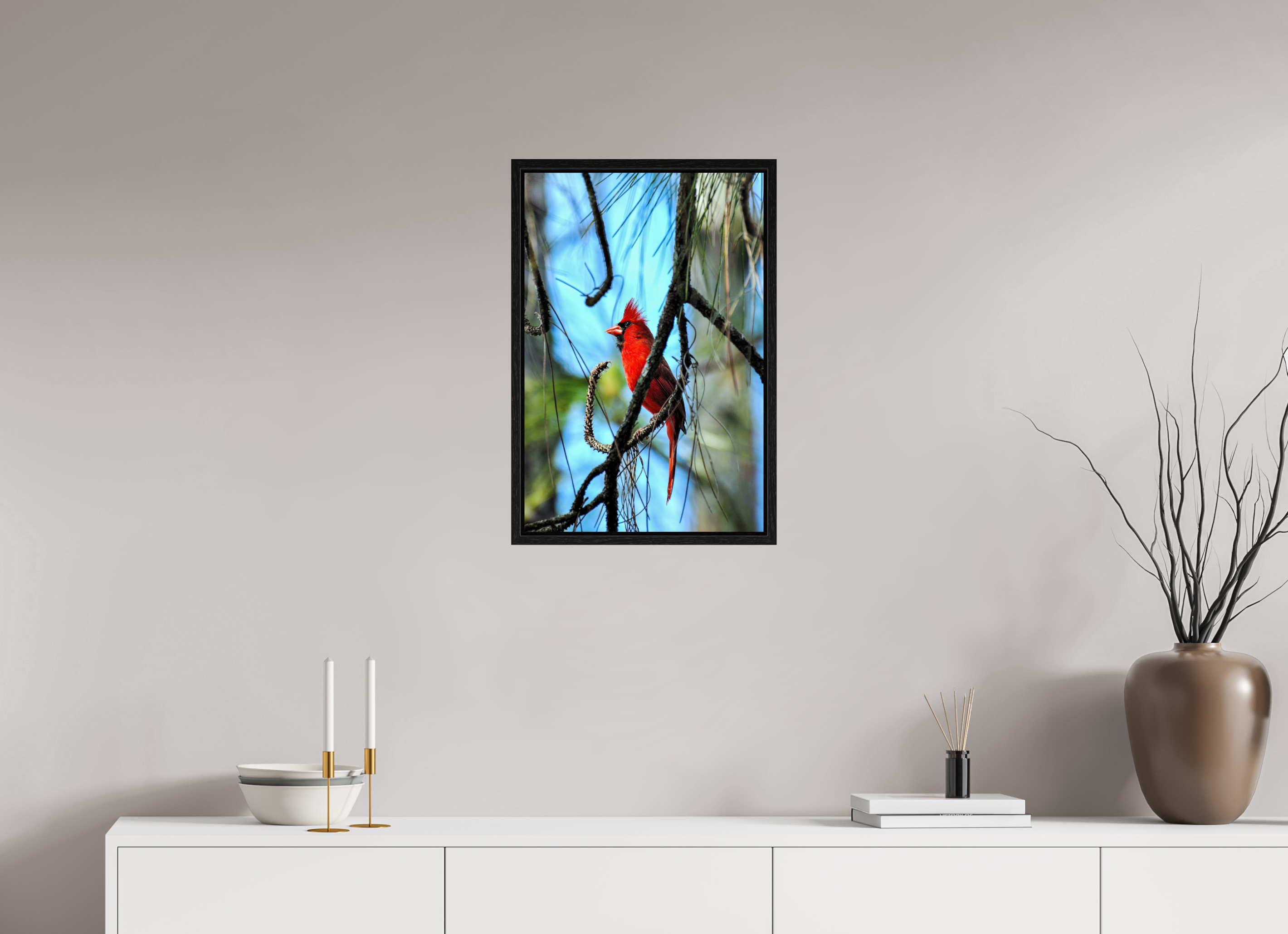 16 x 24″, Floater Frame, Basel 0.6", Black Oak, Glossy Acrylic Glass The Corkscrew Cardinal