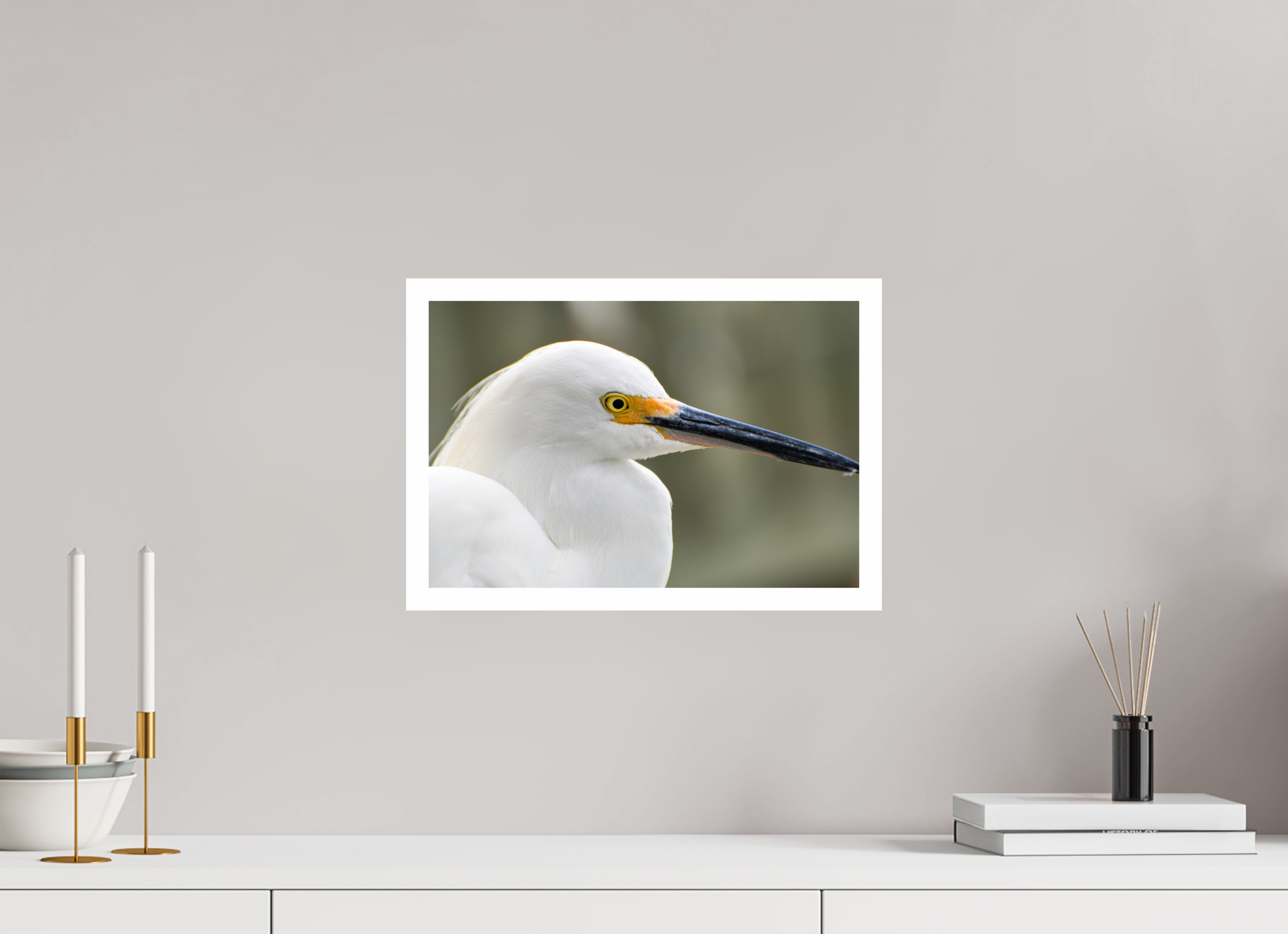 15 x 10″, Hahnemühle FineArt Pearl Print, .79" white border The White Plume: Snowy Egret Portrait