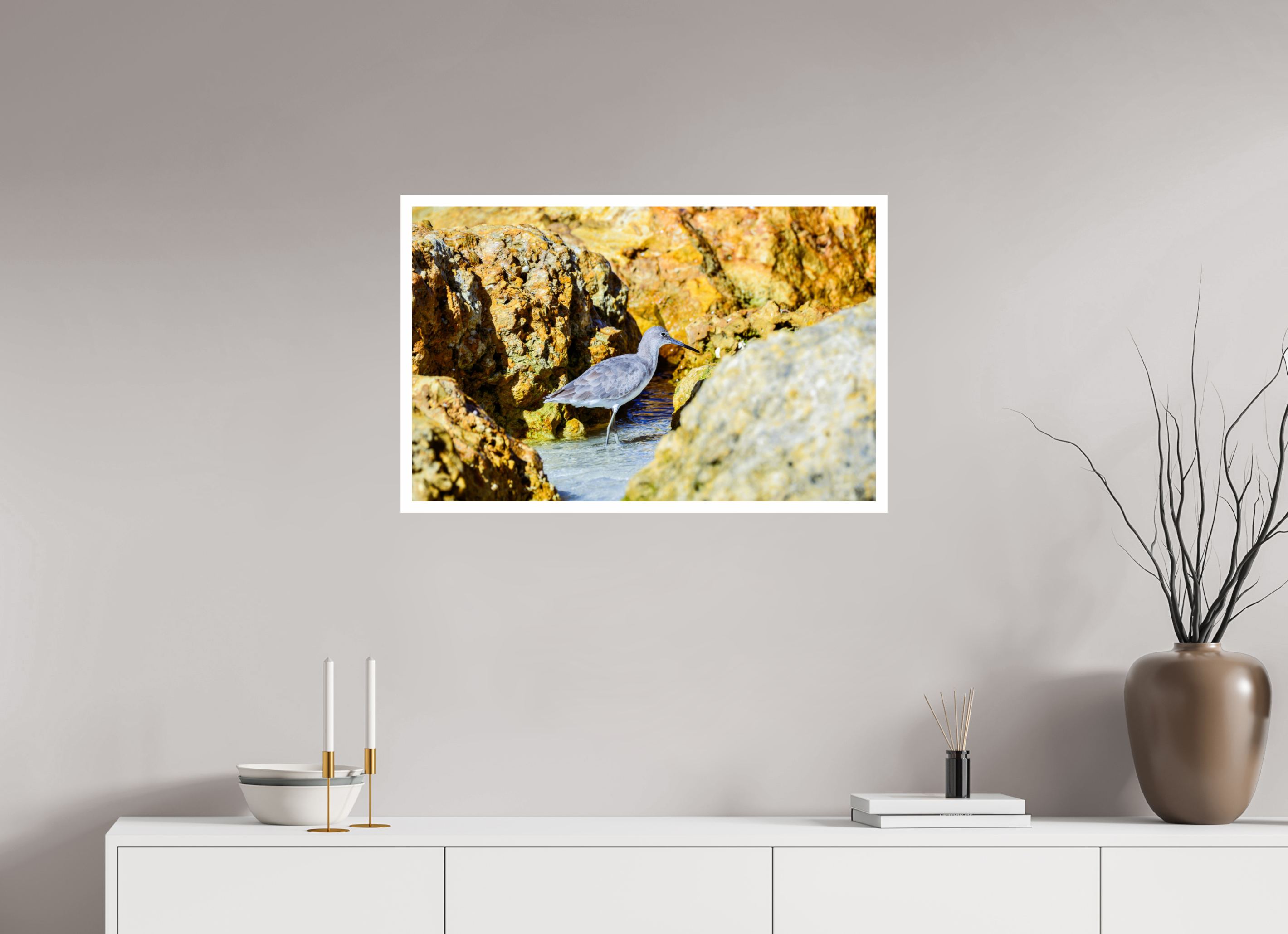 31.5 x 20″, Hahnemühle FineArt Pearl Print, .79" white border The Hiding Willet