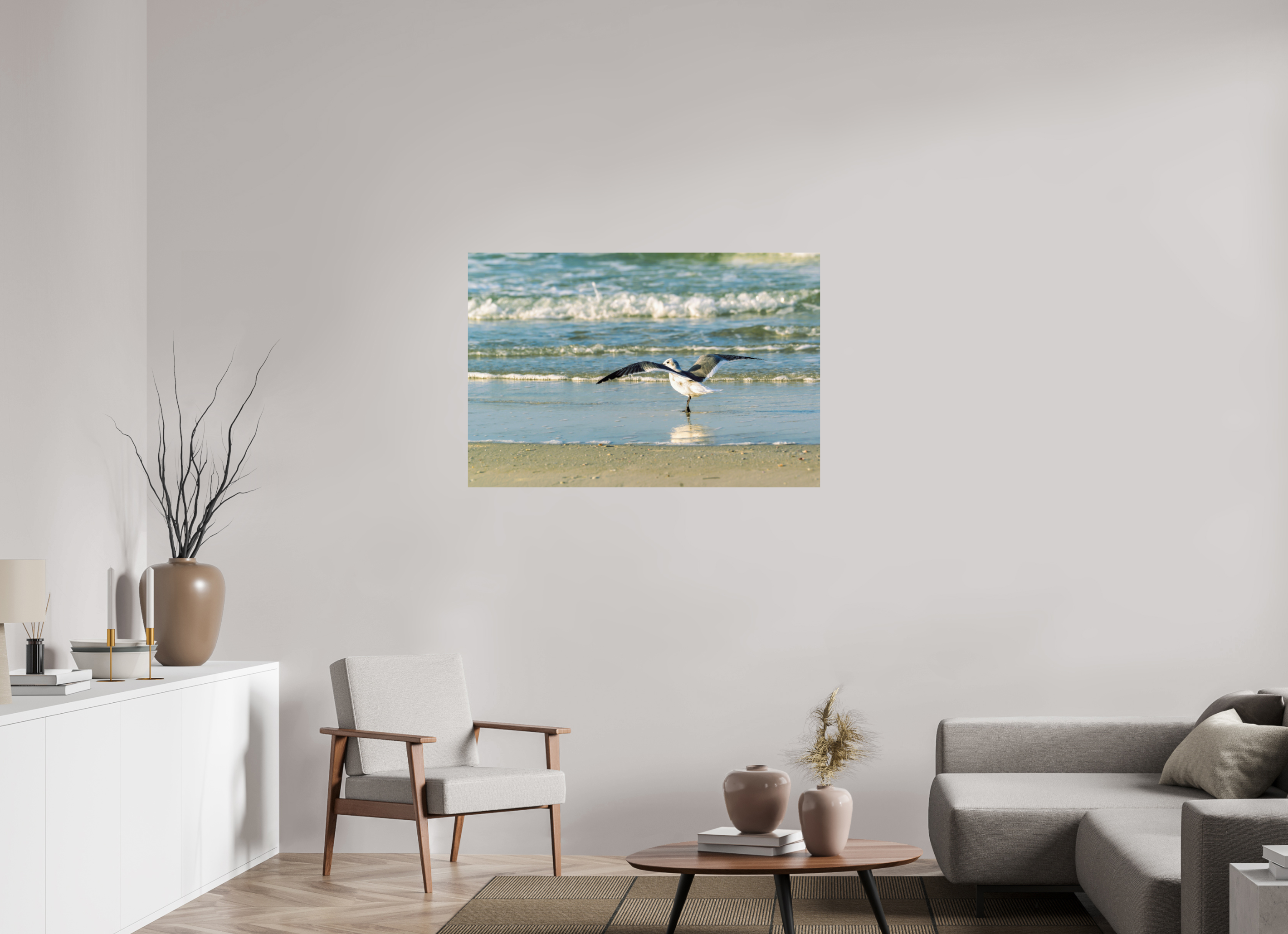 45 x 30″, Photo Print On Fuji Crystal DP II Laughing Gull in Motion