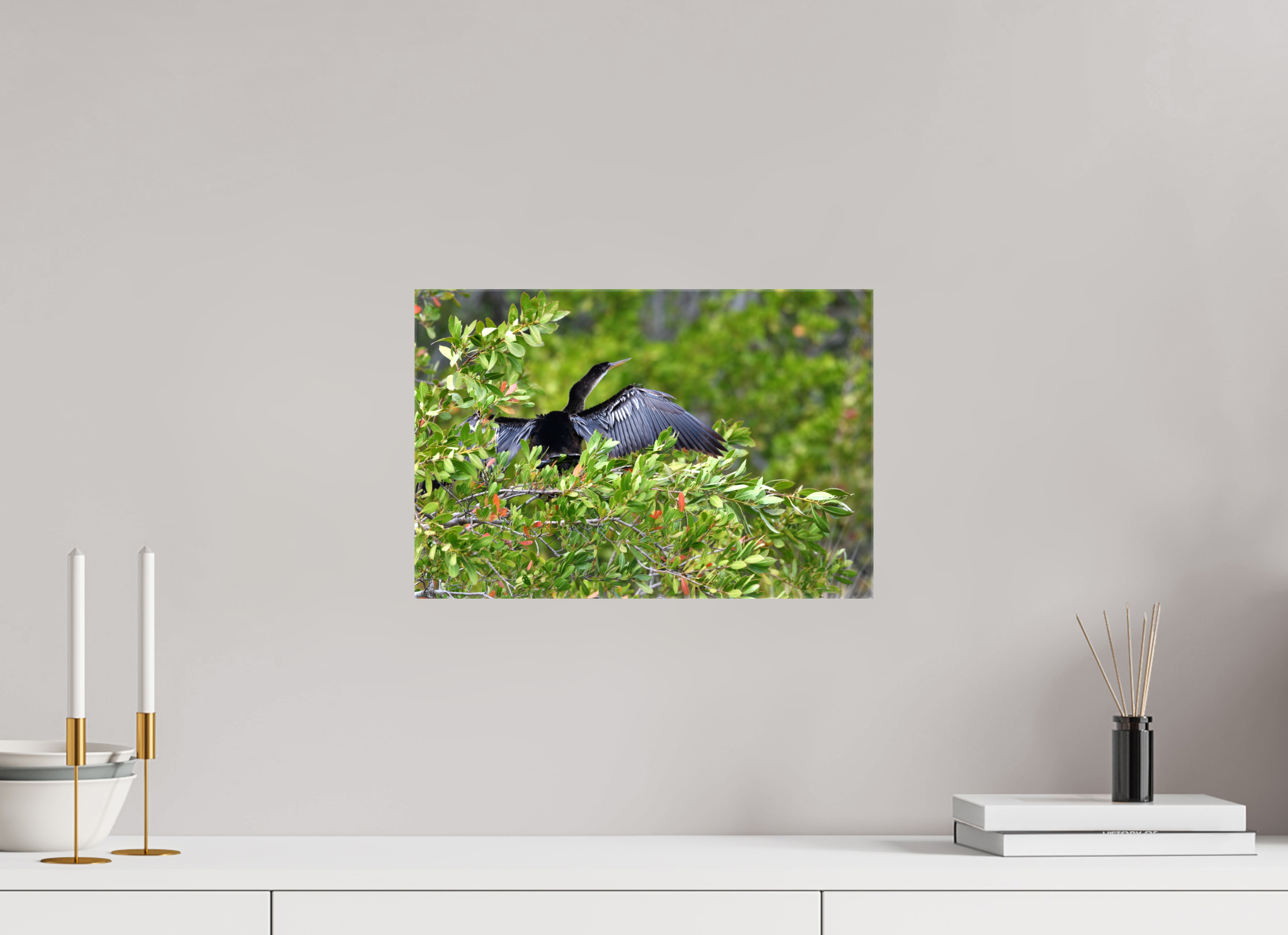 15 x 10″, Glossy Canvas on Stretcher Frame, 1,57" Wrapped Florida Anhinga Sunning