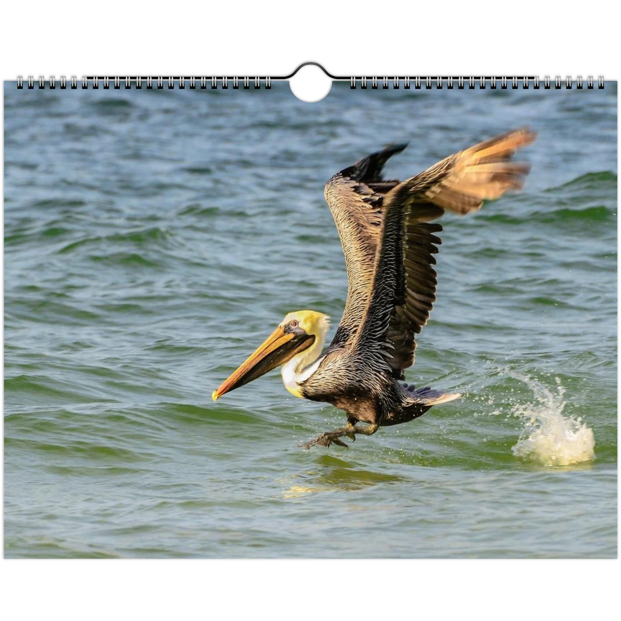 45469cf4-9aa9-45e7-be77-8c31035f8a64