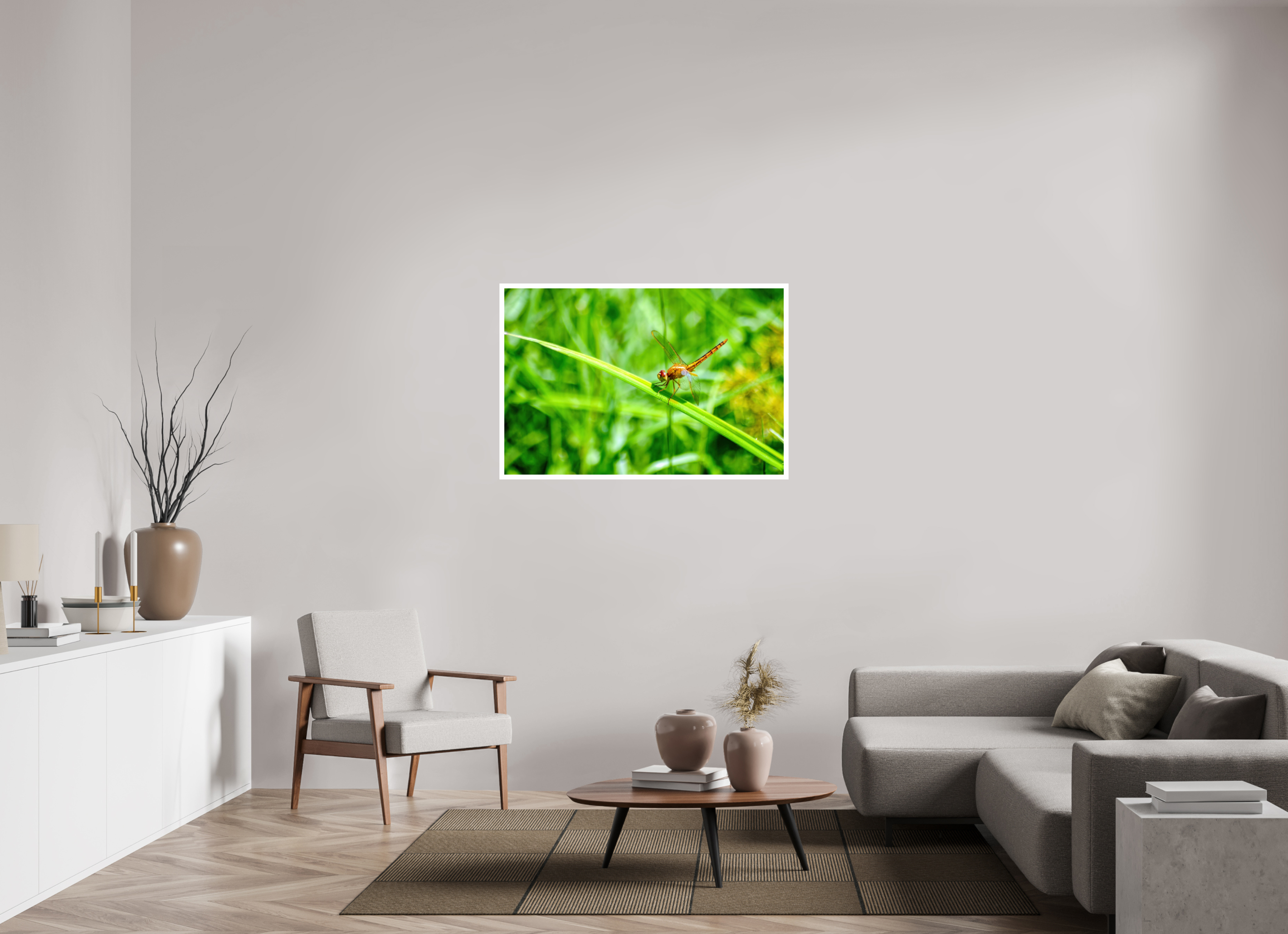 45 x 30″, Hahnemühle FineArt Pearl Print, .79" white border Female Scarlet Skimmer