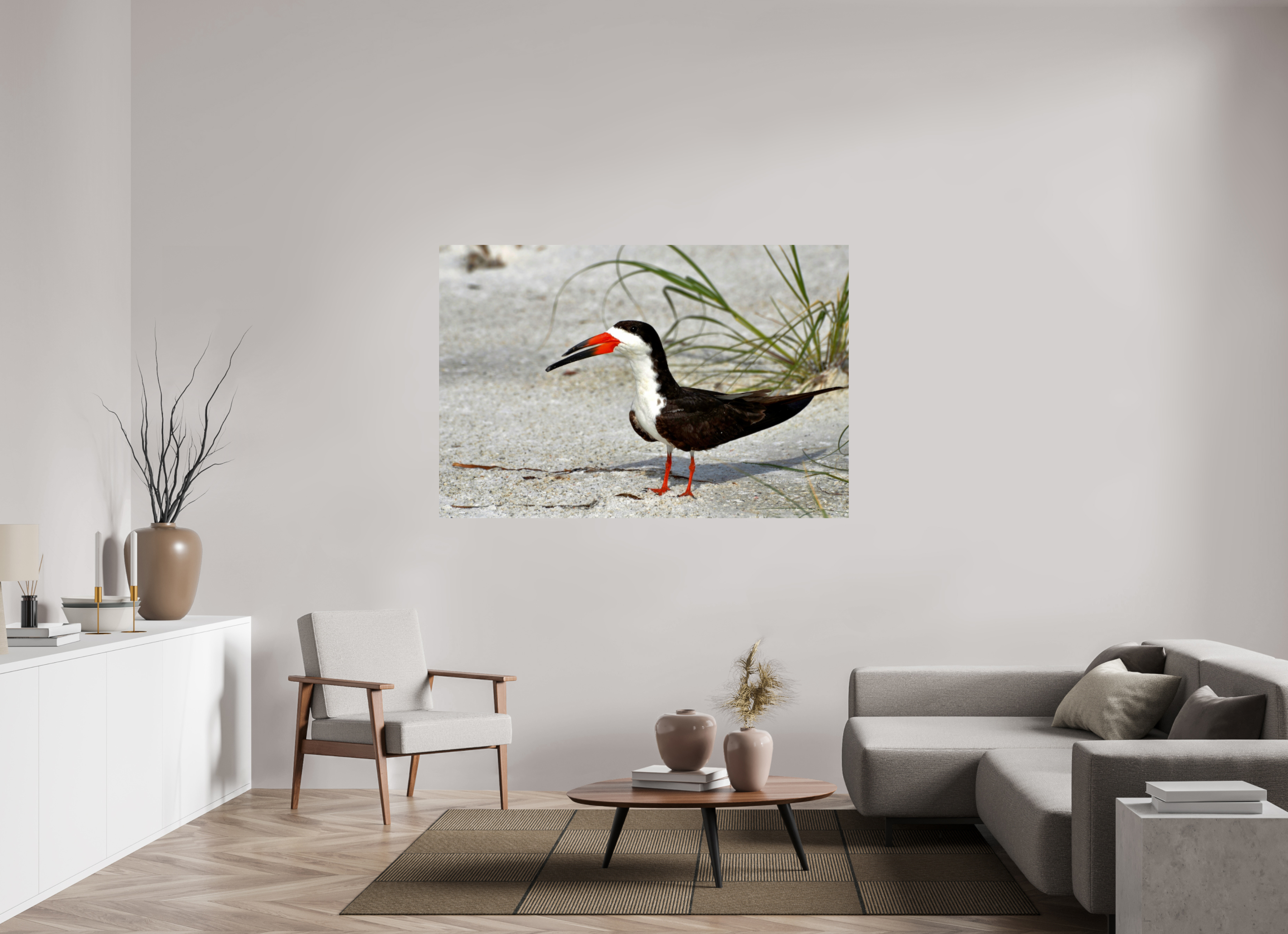 66 x 44″, Photo Print On Fuji Crystal DP II Sand & Black Skimmer