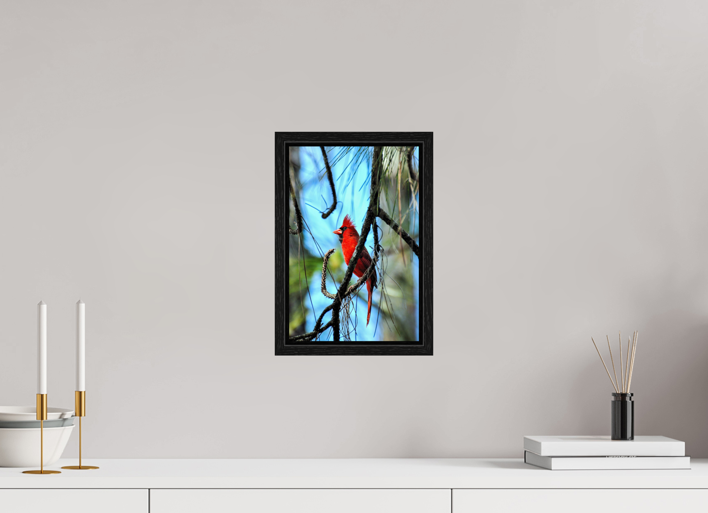 8 x 12″, Floater Frame, Basel 0.6", Black Oak, Glossy Acrylic Glass The Corkscrew Cardinal