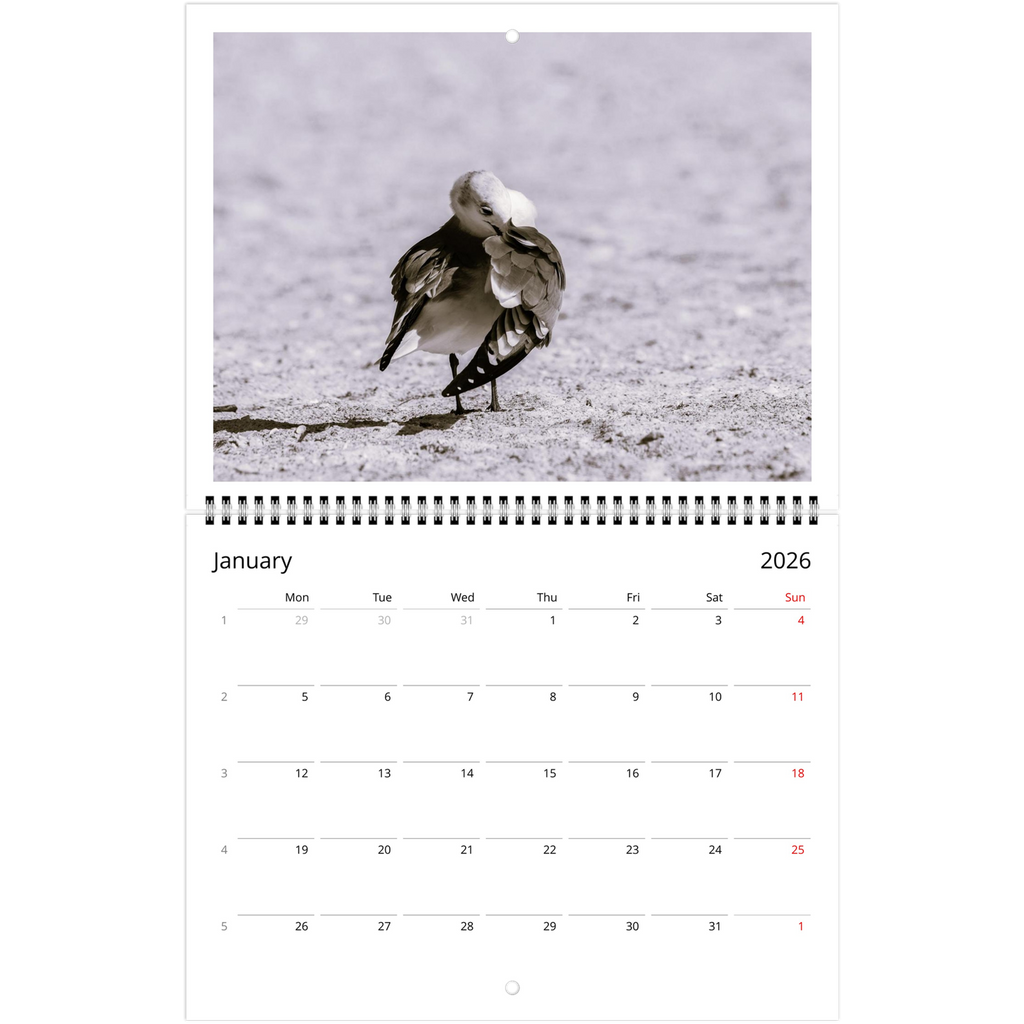 46b201a4-71fd-4fe5-a3d6-d54d9b22ebc8