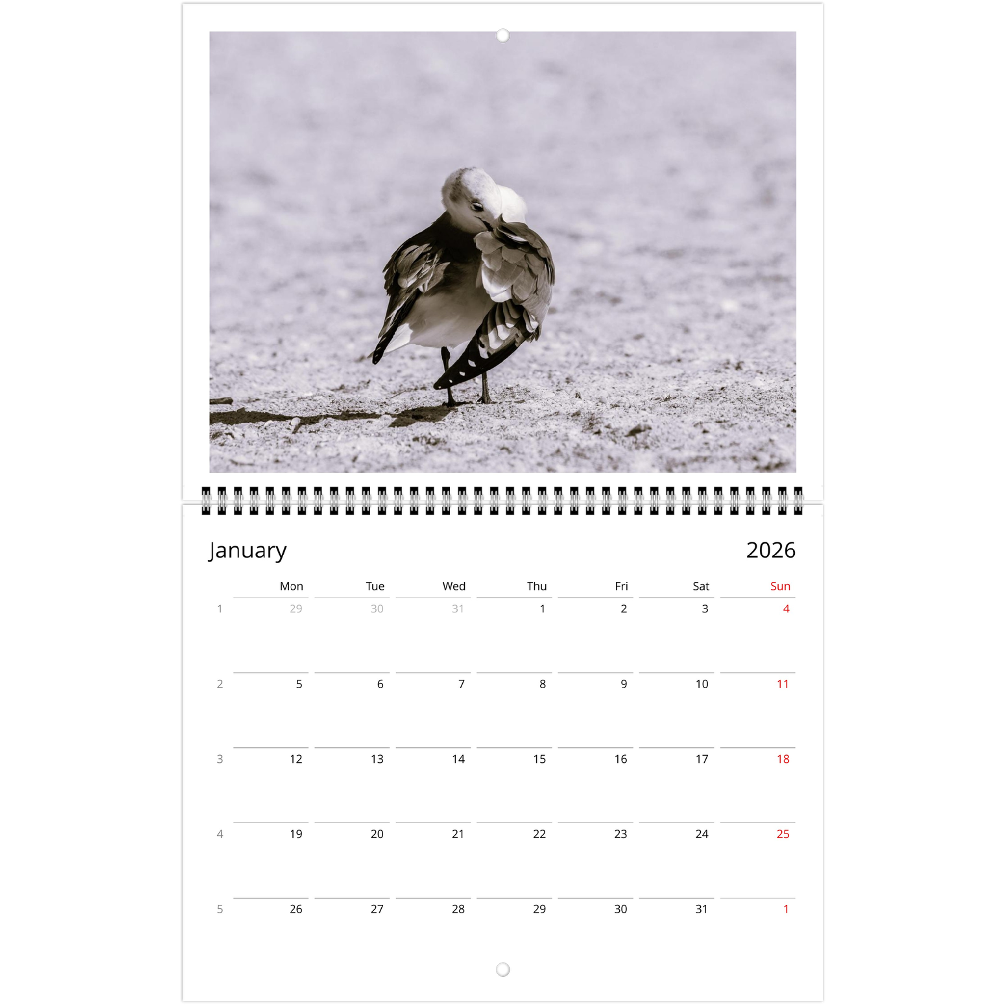 46b201a4-71fd-4fe5-a3d6-d54d9b22ebc8