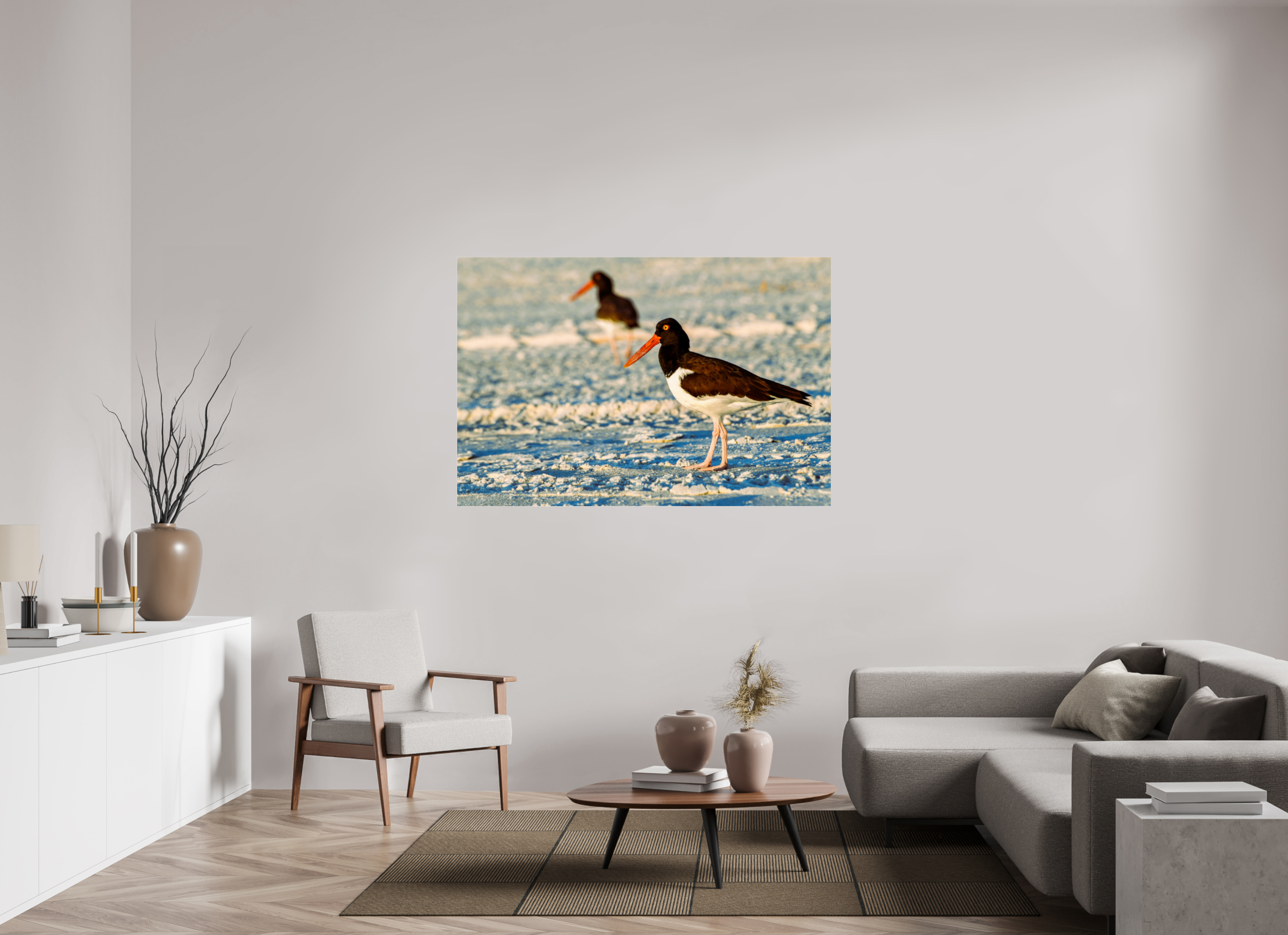 60 x 40″, Metallic Photo Print Under Acrylic Glass Oystercatcher Stroll