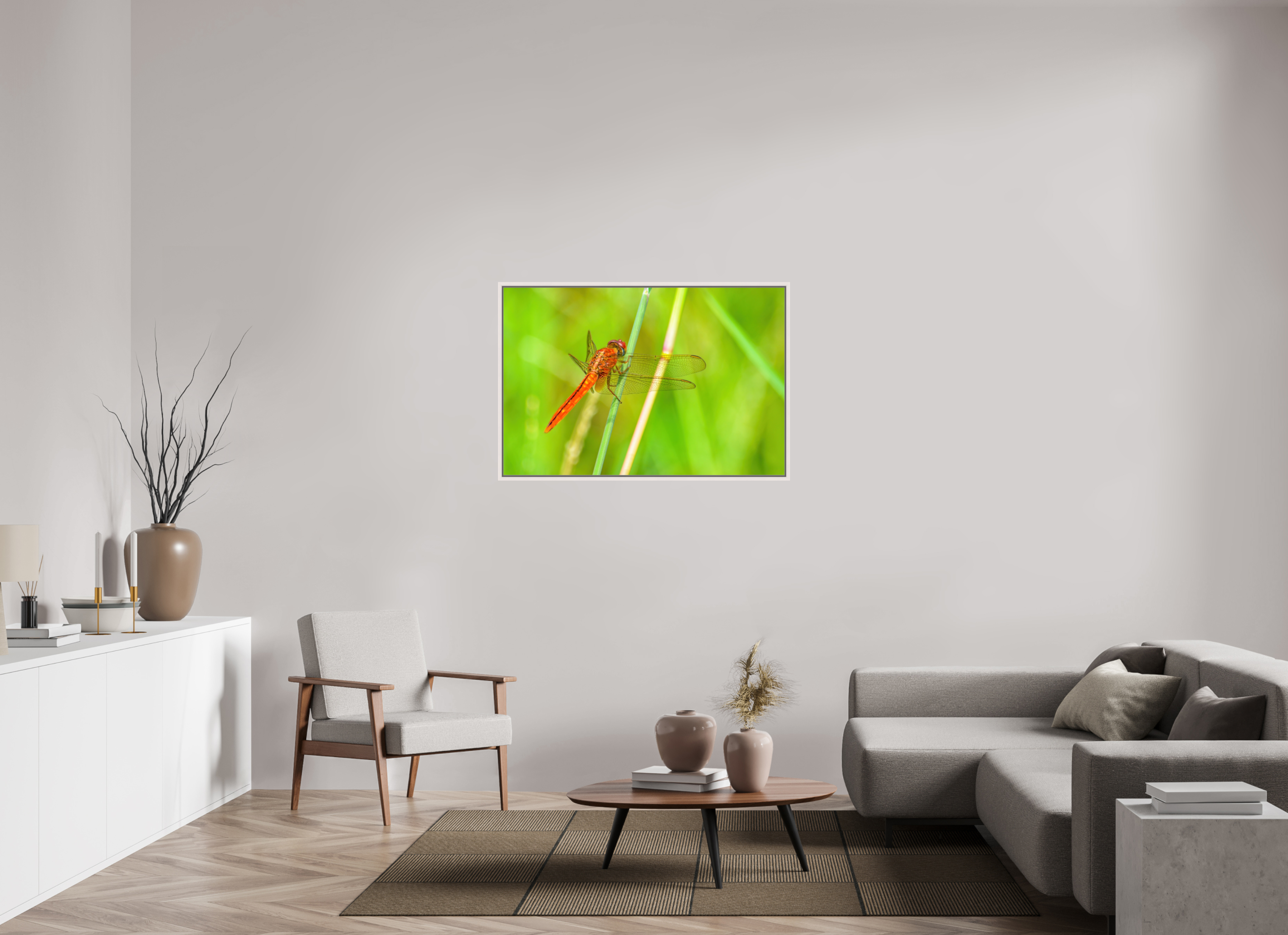 45 x 30″, Floater Frame, Basel 0.6", Maple White, Glossy Acrylic Glass Resting Scarlet Skimmer