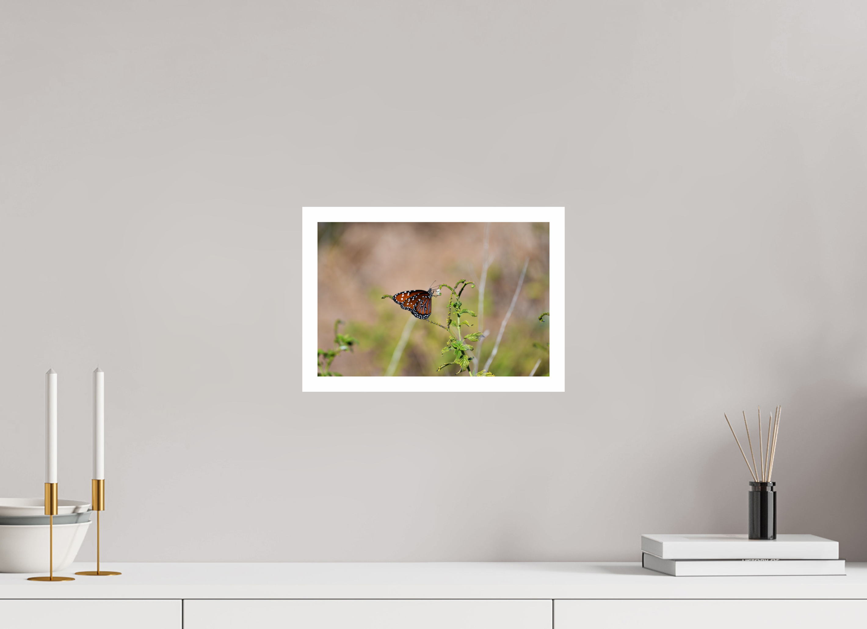 12 x 8″, Hahnemühle FineArt Pearl Print without Frame, .79" white border Queen Butterfly