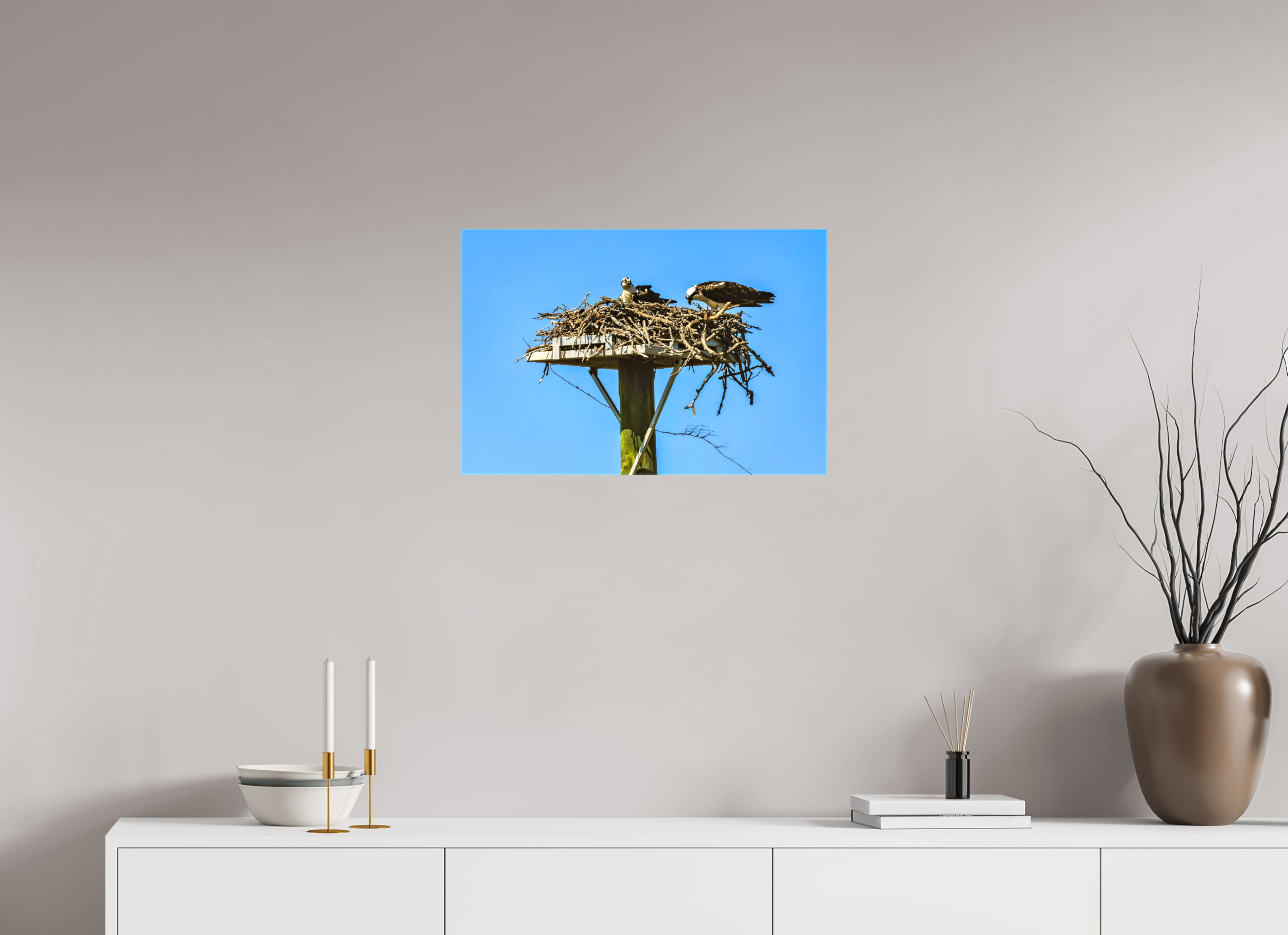 24 x 16″, Glossy Canvas on Stretcher Frame, 1,57" Wrapped Osprey Outlook