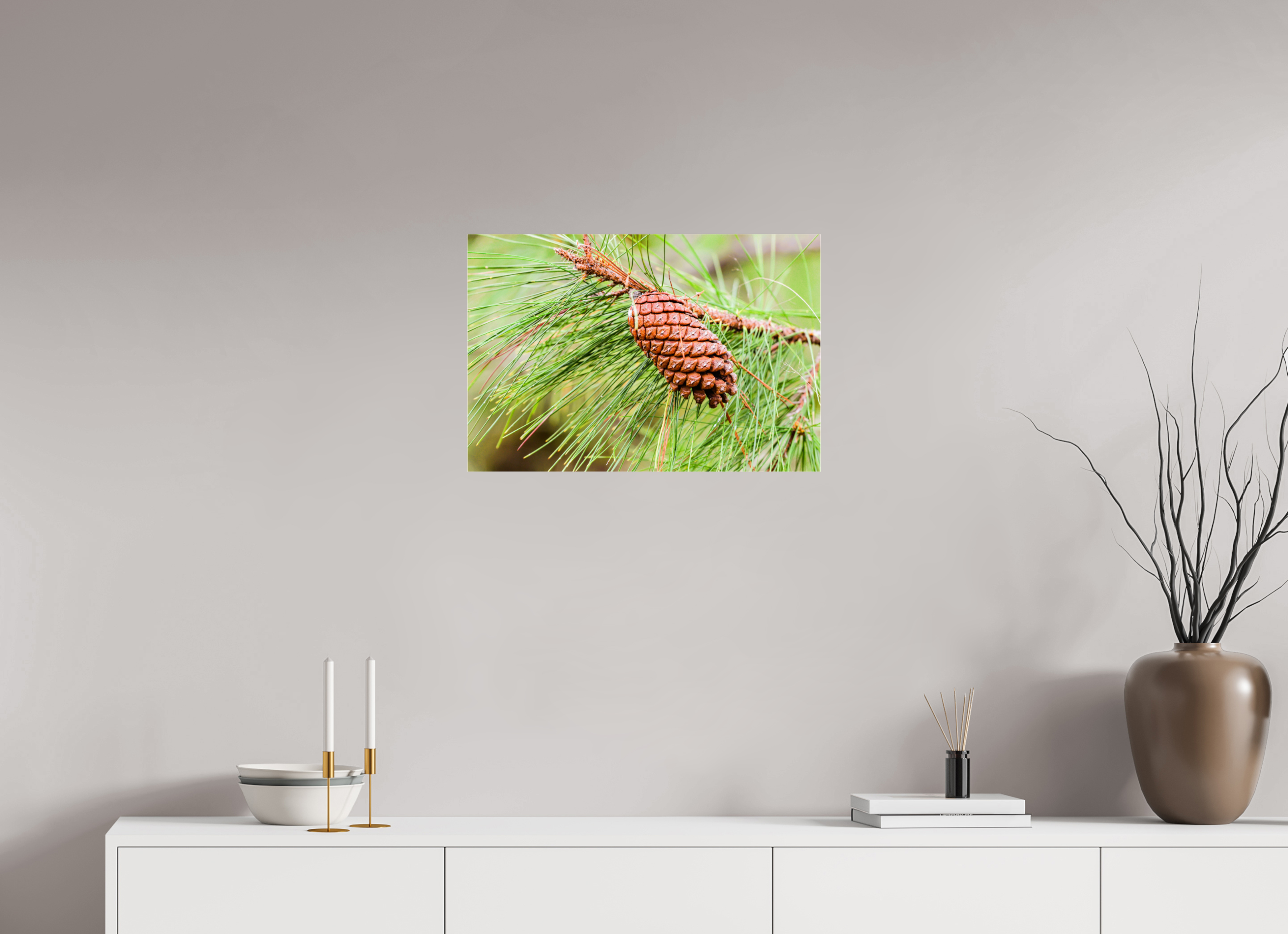 23.8 x 16″, Metallic Photo Print Under Acrylic Glass The Longleaf Pine Cone