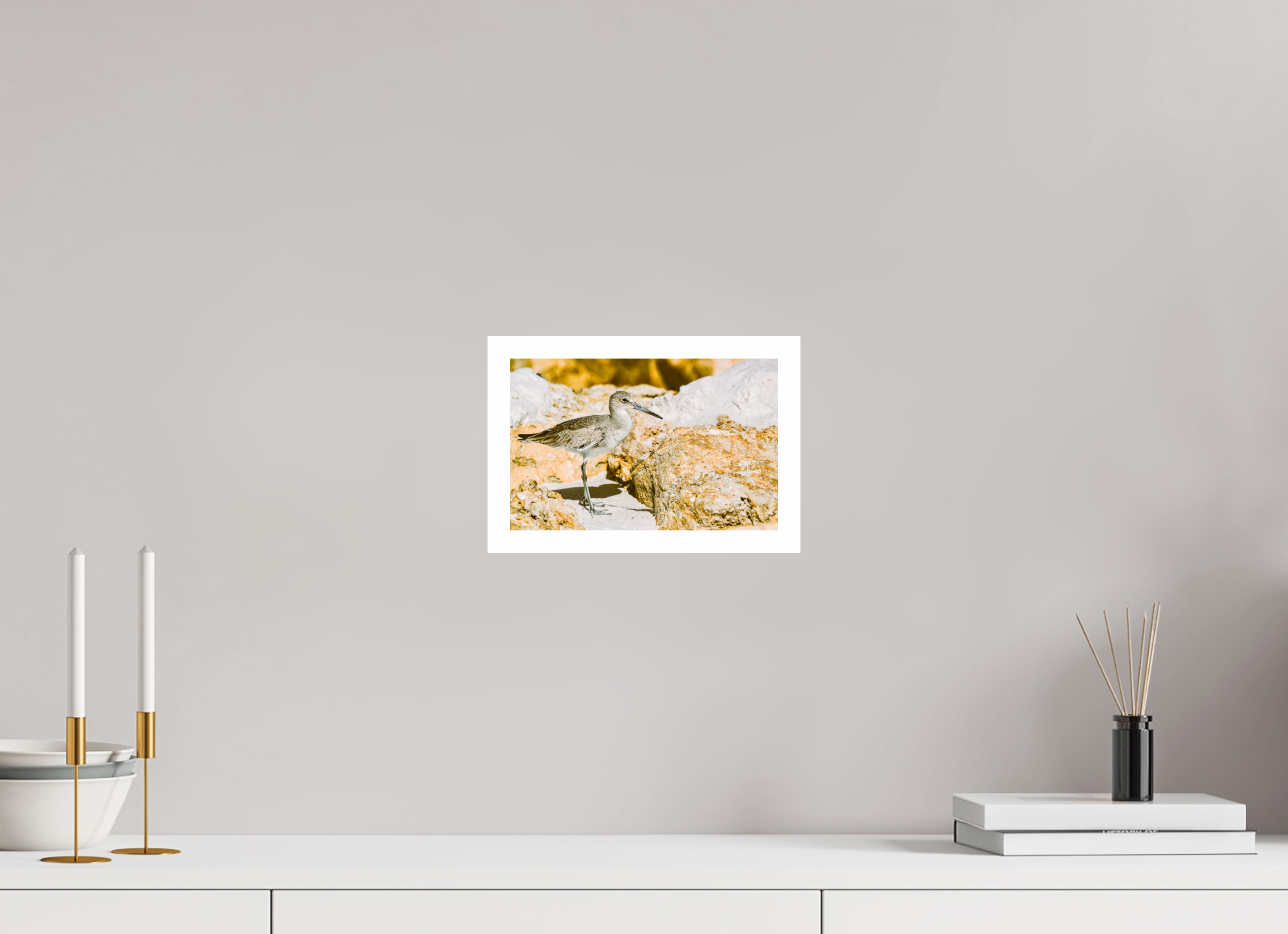 9.3 x 6″, Hahnemühle FineArt Pearl Print, .79" white border The Sunny Willet