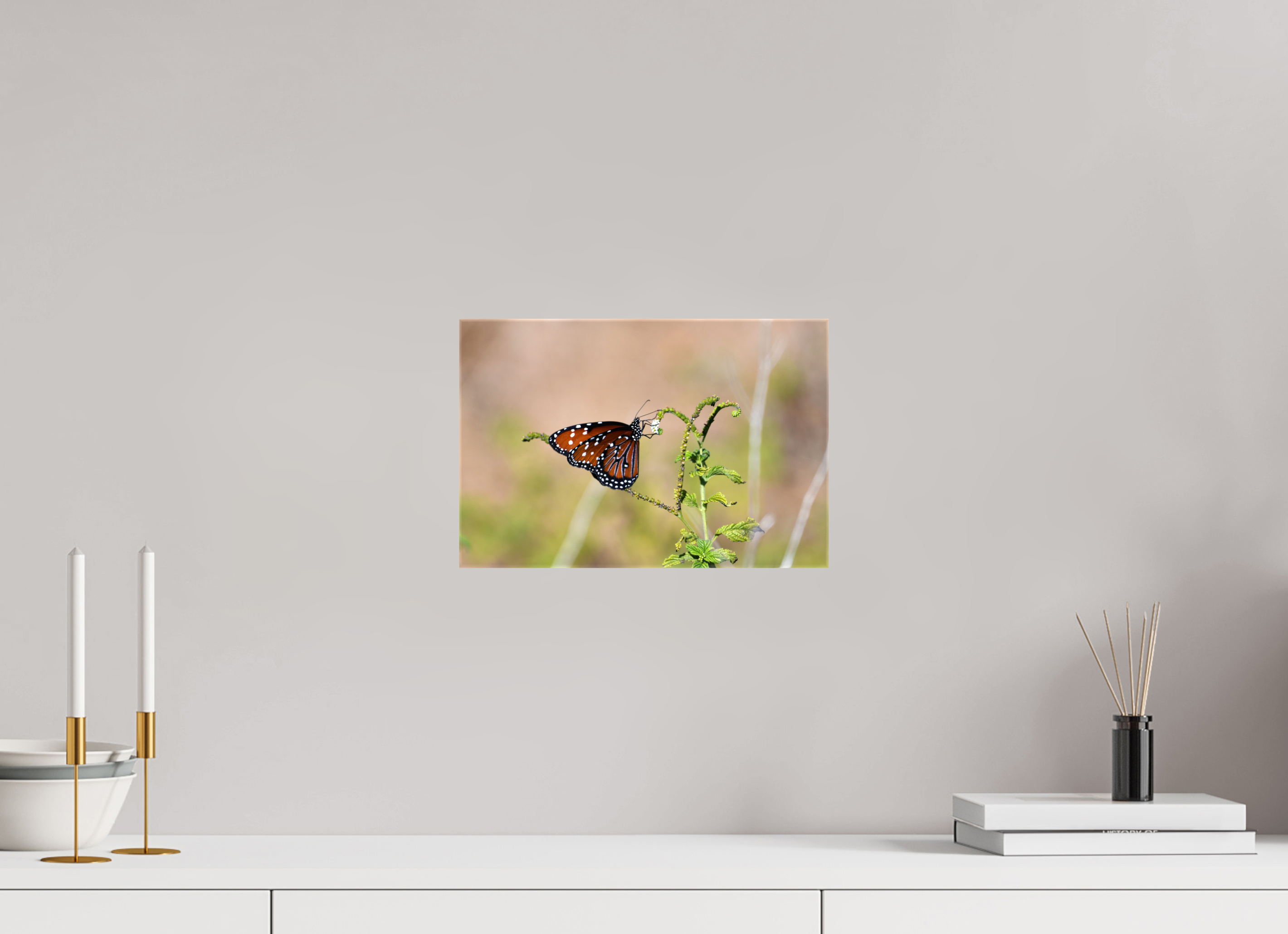 12 x 8″, Glossy Canvas on Stretcher Frame, 1,57" Wrapped Queen Butterfly