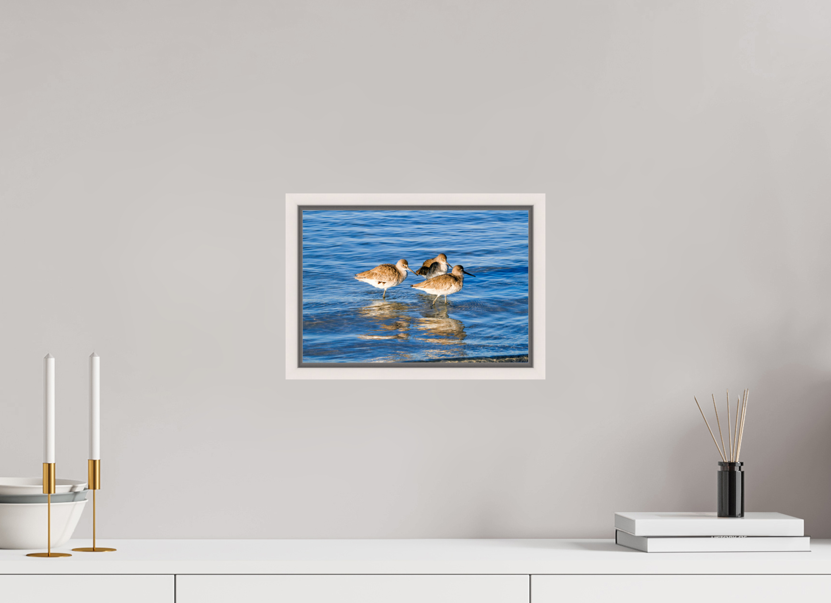 11.9 x 8″, Floater Frame, Basel 0.6", Maple White, Glossy Acrylic Glass The Shoreline Trio: Willets in the Surf