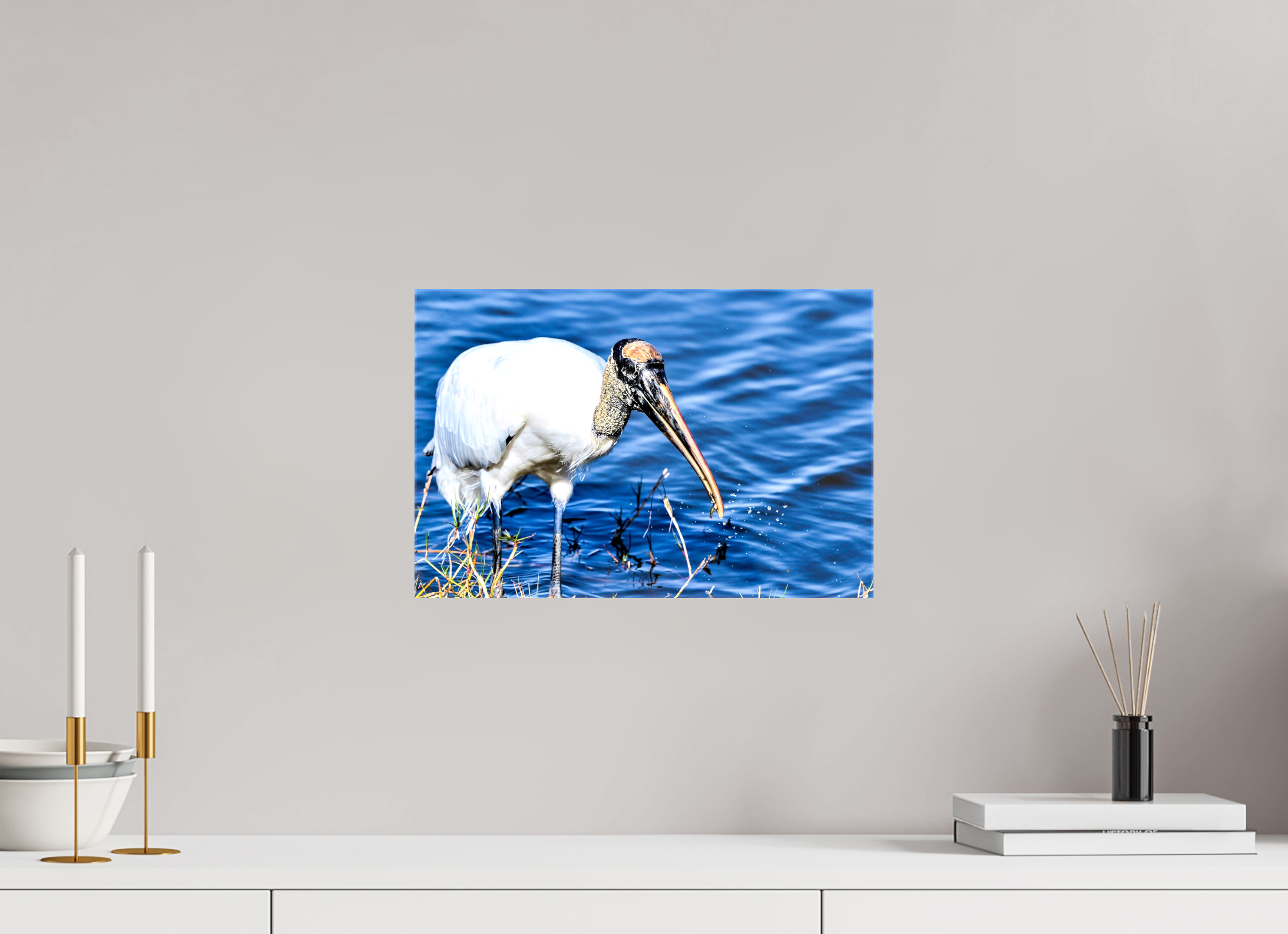 15 x 10″, Glossy Canvas on Stretcher Frame, 1,57" Wrapped The Morning Catch: Wood Stork in Action