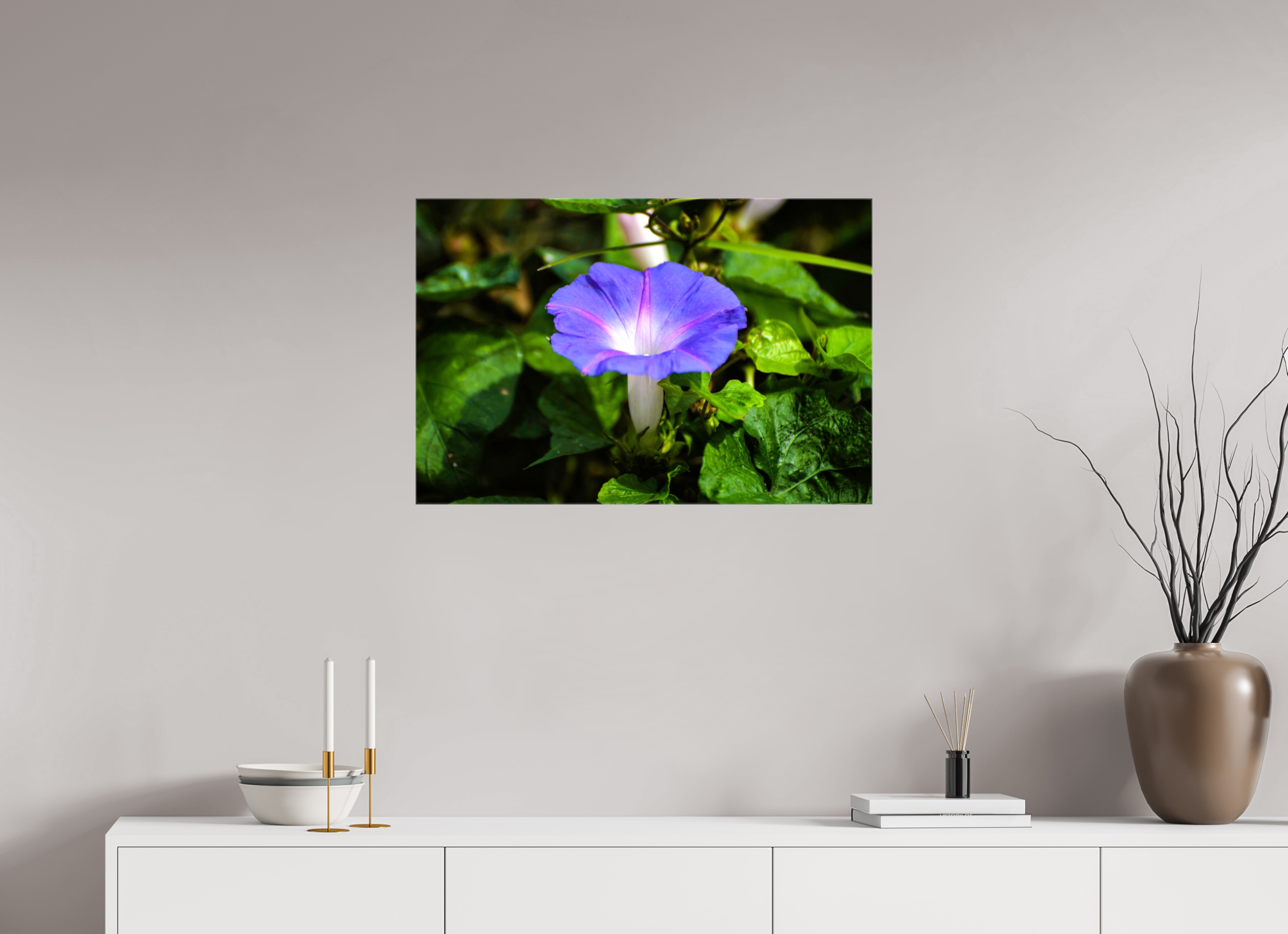 30 x 20″, Glossy Canvas on Stretcher Frame, 1,57" Wrapped Heavenly Blue Morning Glory