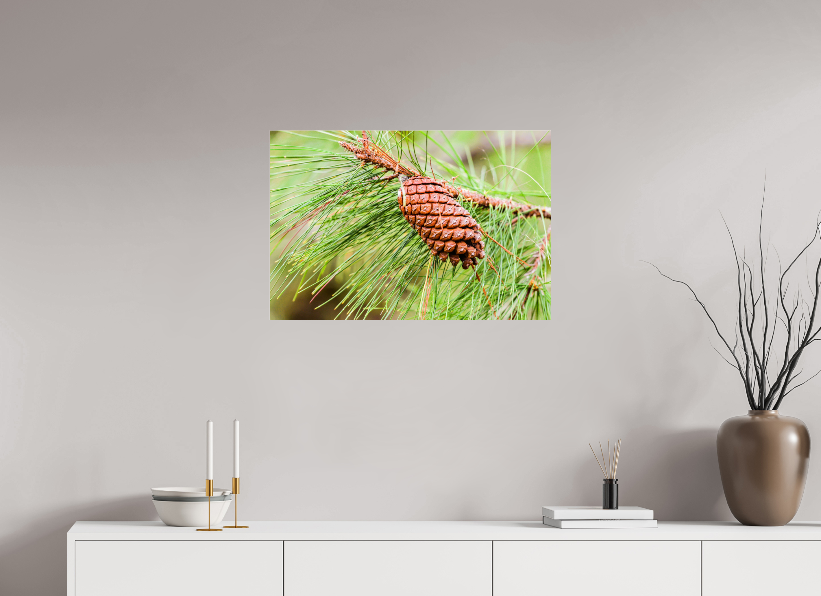 29.7 x 20″, Metallic Photo Print Under Acrylic Glass The Longleaf Pine Cone