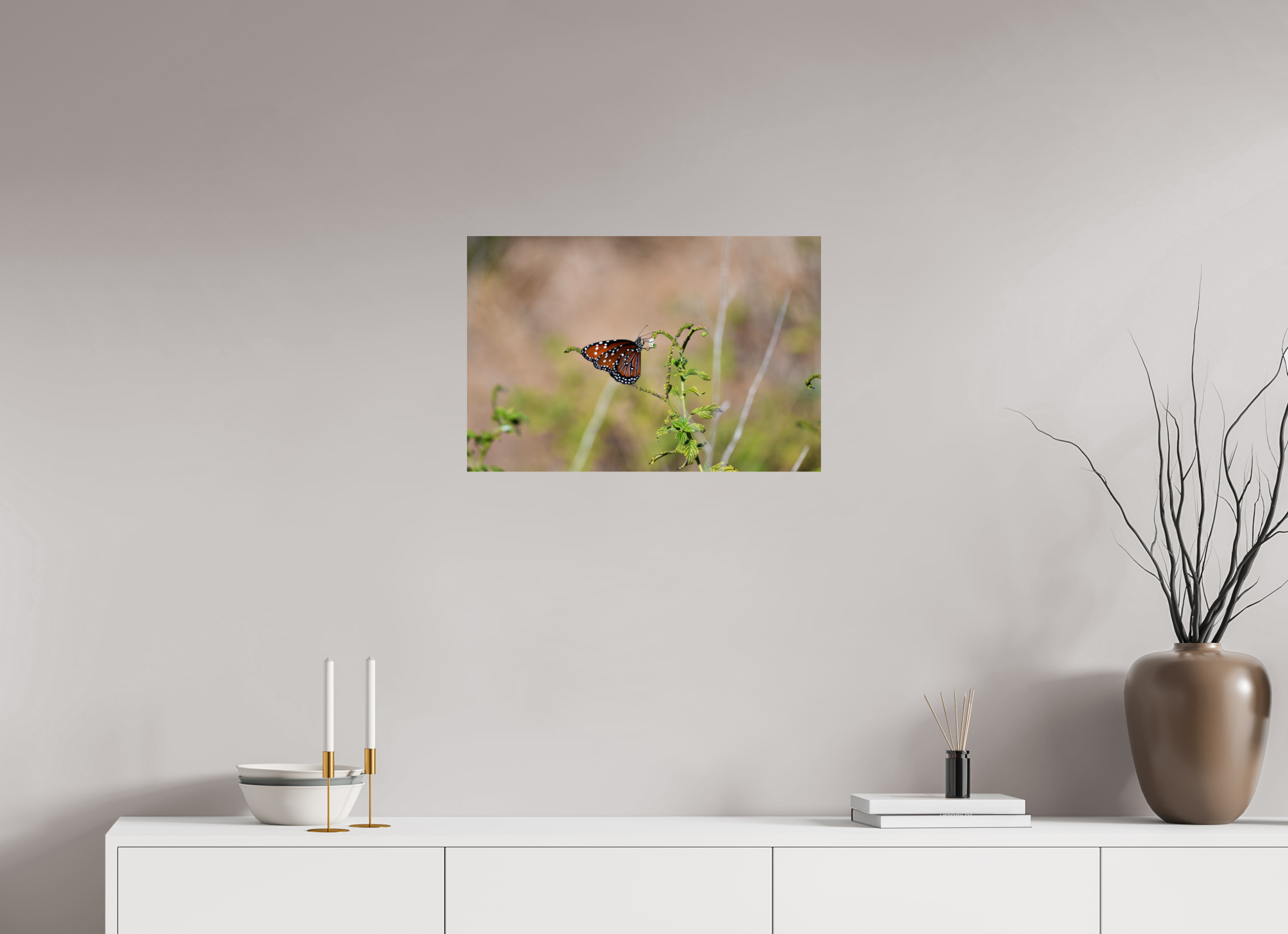 24 x 16″, Photo Print On Fuji Crystal DP II Queen Butterfly