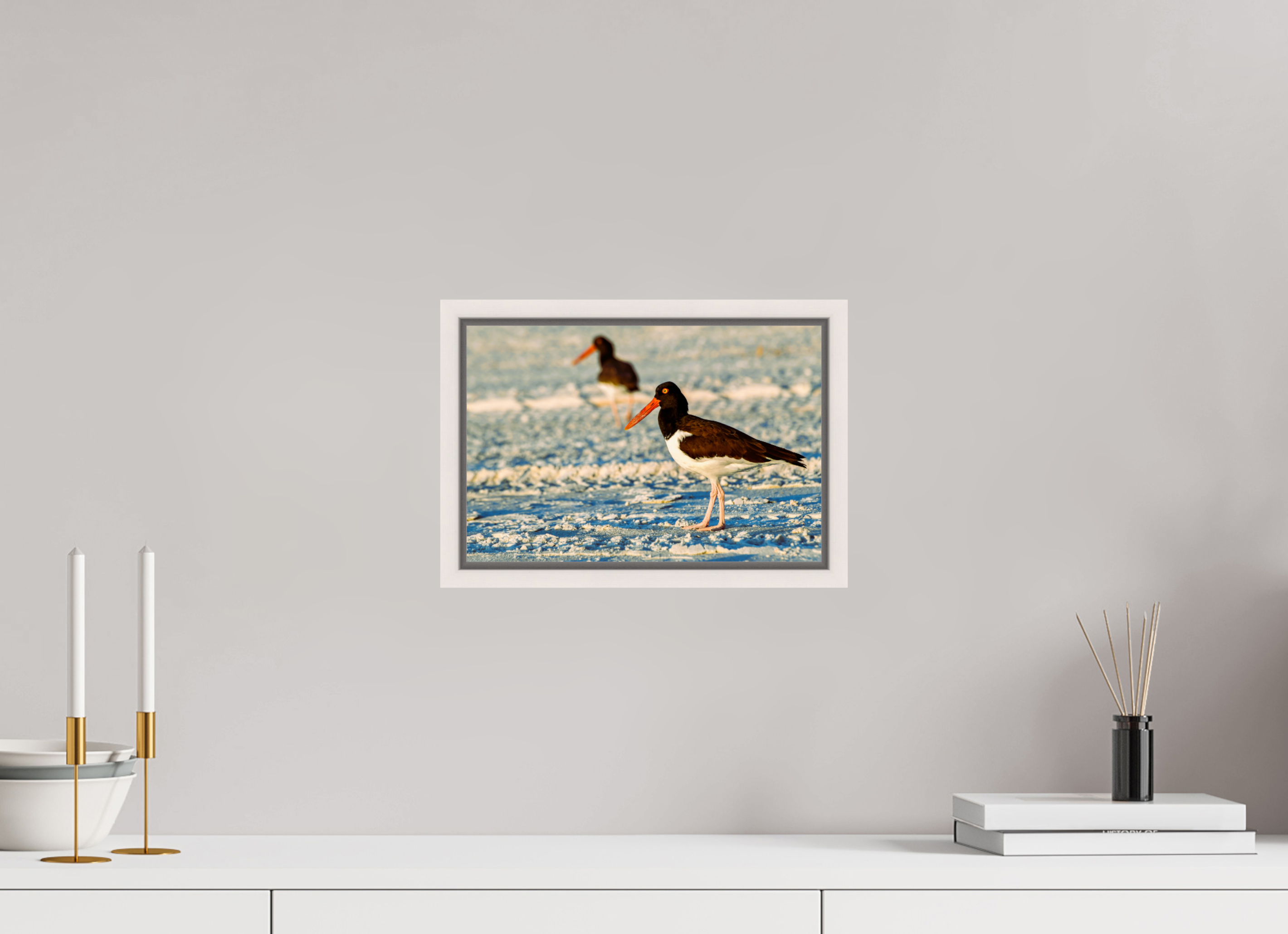 12 x 8″, Floater Frame, Basel 0.6", Maple White, Glossy Acrylic Glass Oystercatcher Stroll