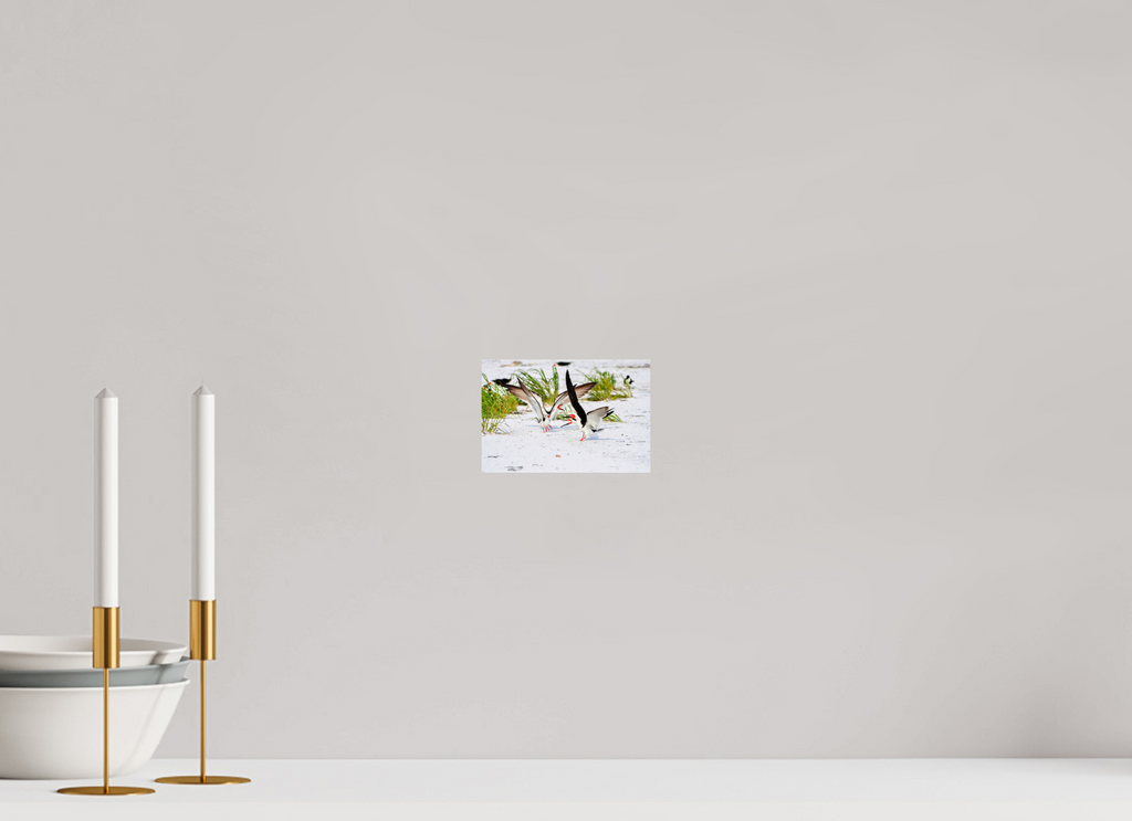 6 x 4″, Photo Print On Fuji Crystal DP II The Skimmer Dance