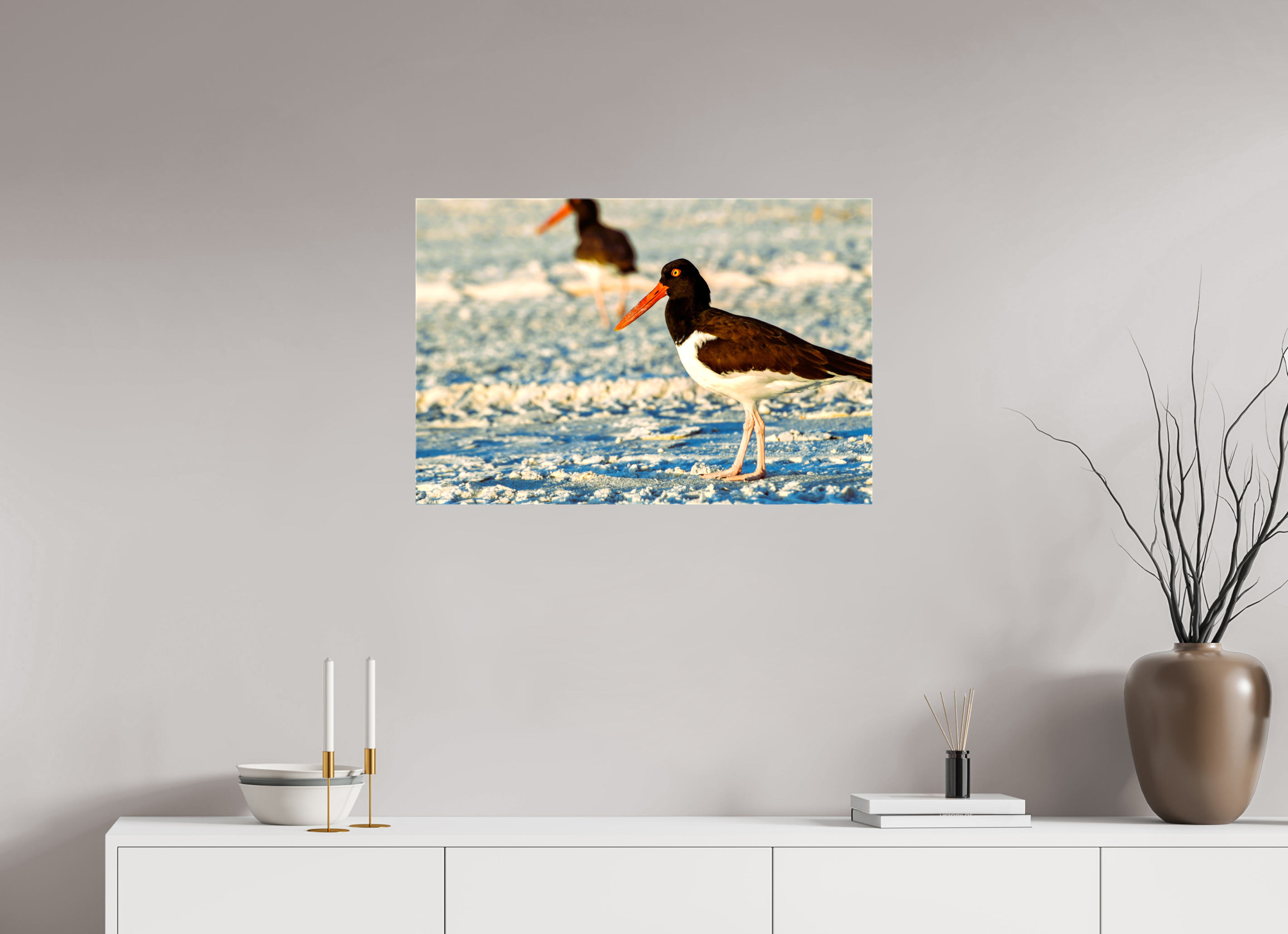 30 x 20″, Glossy Canvas on Stretcher Frame, 1,57" Wrapped Oystercatcher Stroll