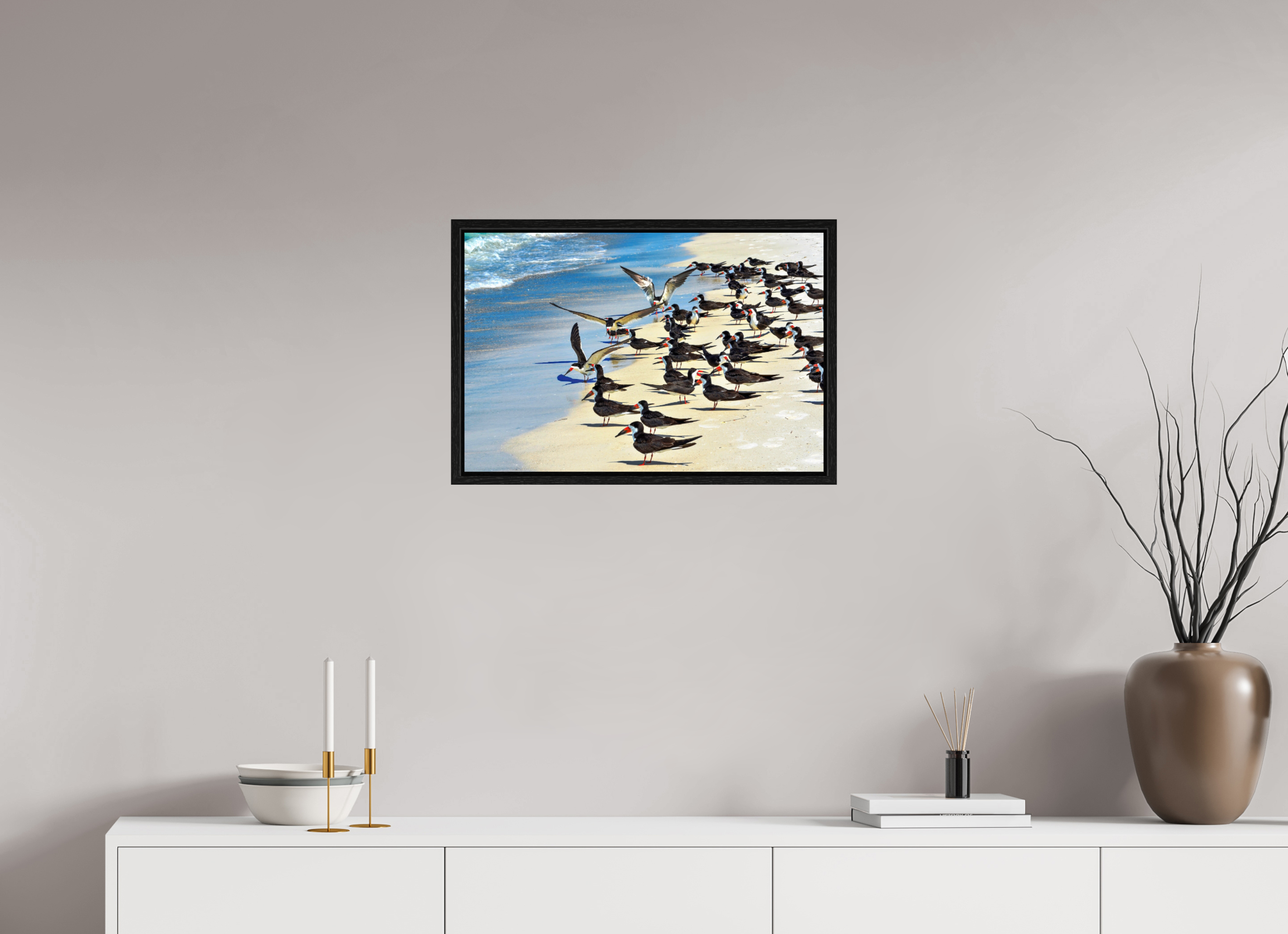 24 x 16″, Floater Frame, Basel 0.6", Black Oak, Glossy Acrylic Glass Shoreline Social: Black Skimmer Colony