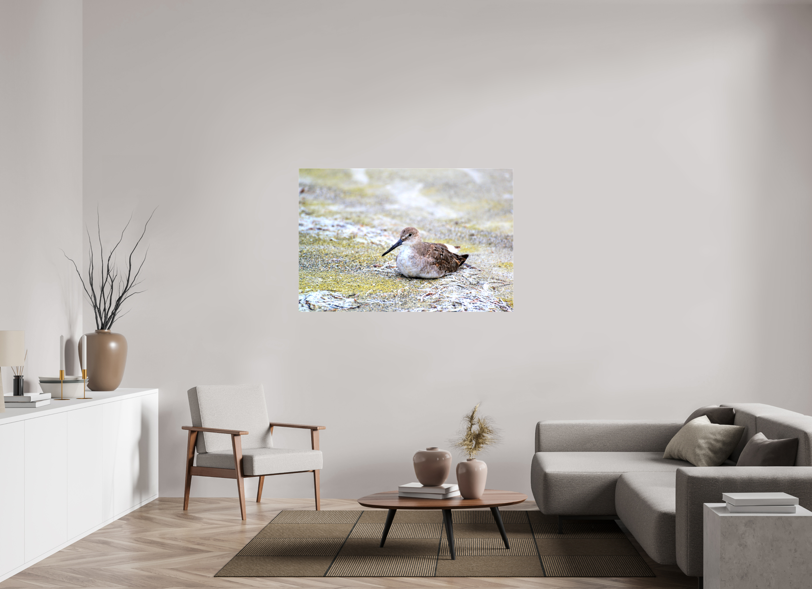 54 x 36″, Glossy Canvas on Stretcher Frame, 1,57" Wrapped The Resting Willet