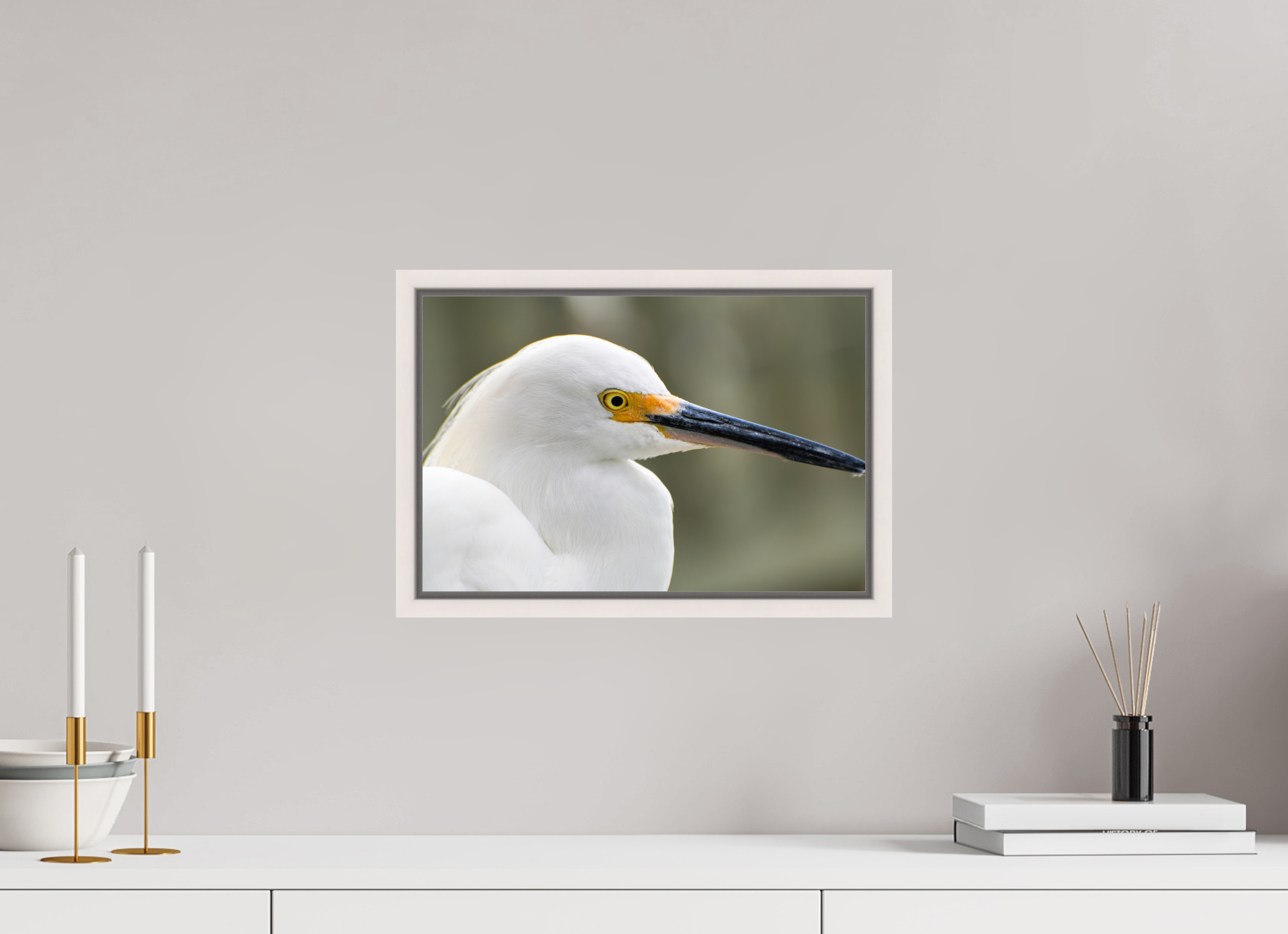 15 x 10″, Floater Frame, Basel 0.6", Maple White, Glossy Acrylic Glass The White Plume: Snowy Egret Portrait