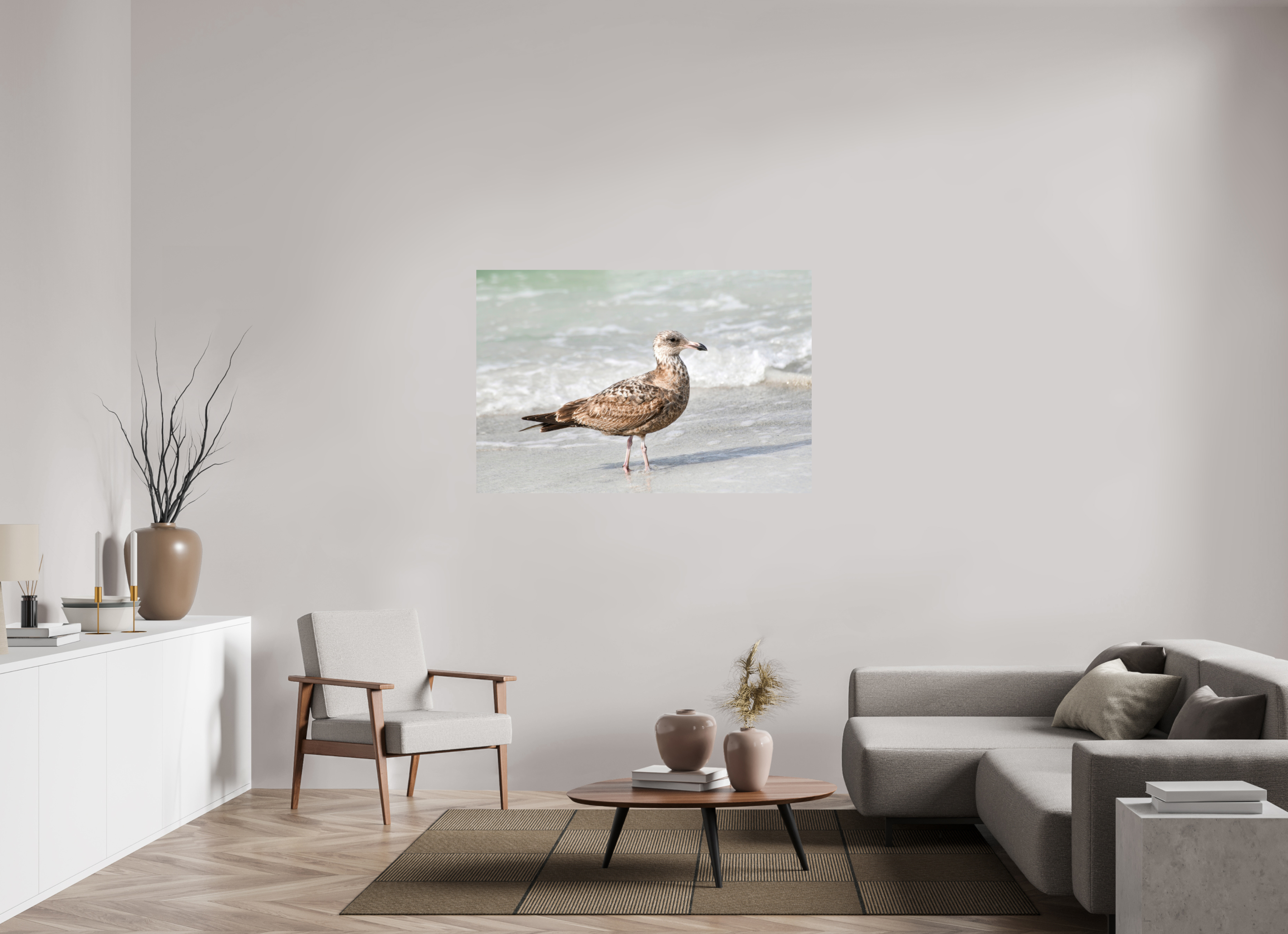 54 x 36″, Photo Print On Fuji Crystal DP II The Young Explorer: Immature American Herring Gull