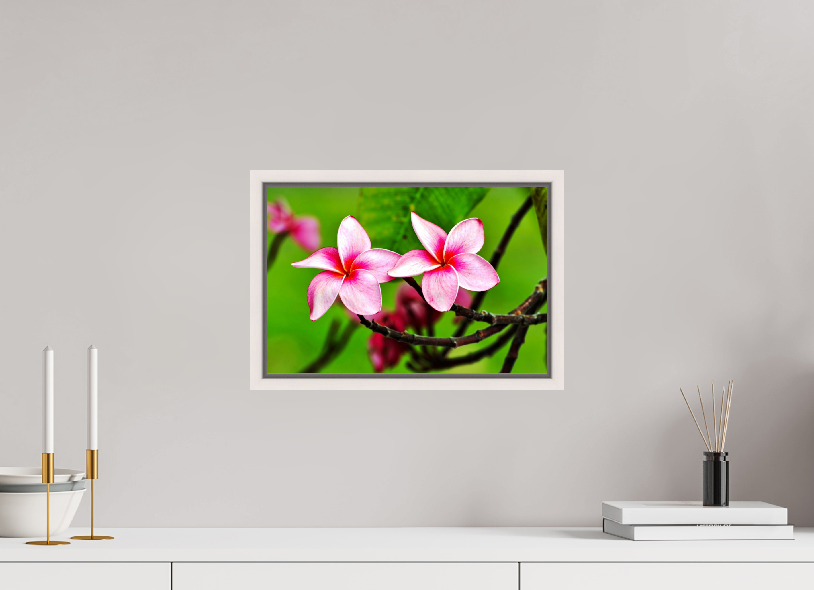 15 x 10″, Floater Frame, Basel 0.6", Maple White, Glossy Acrylic Glass Pink Plumeria Rubra (Frangipani)