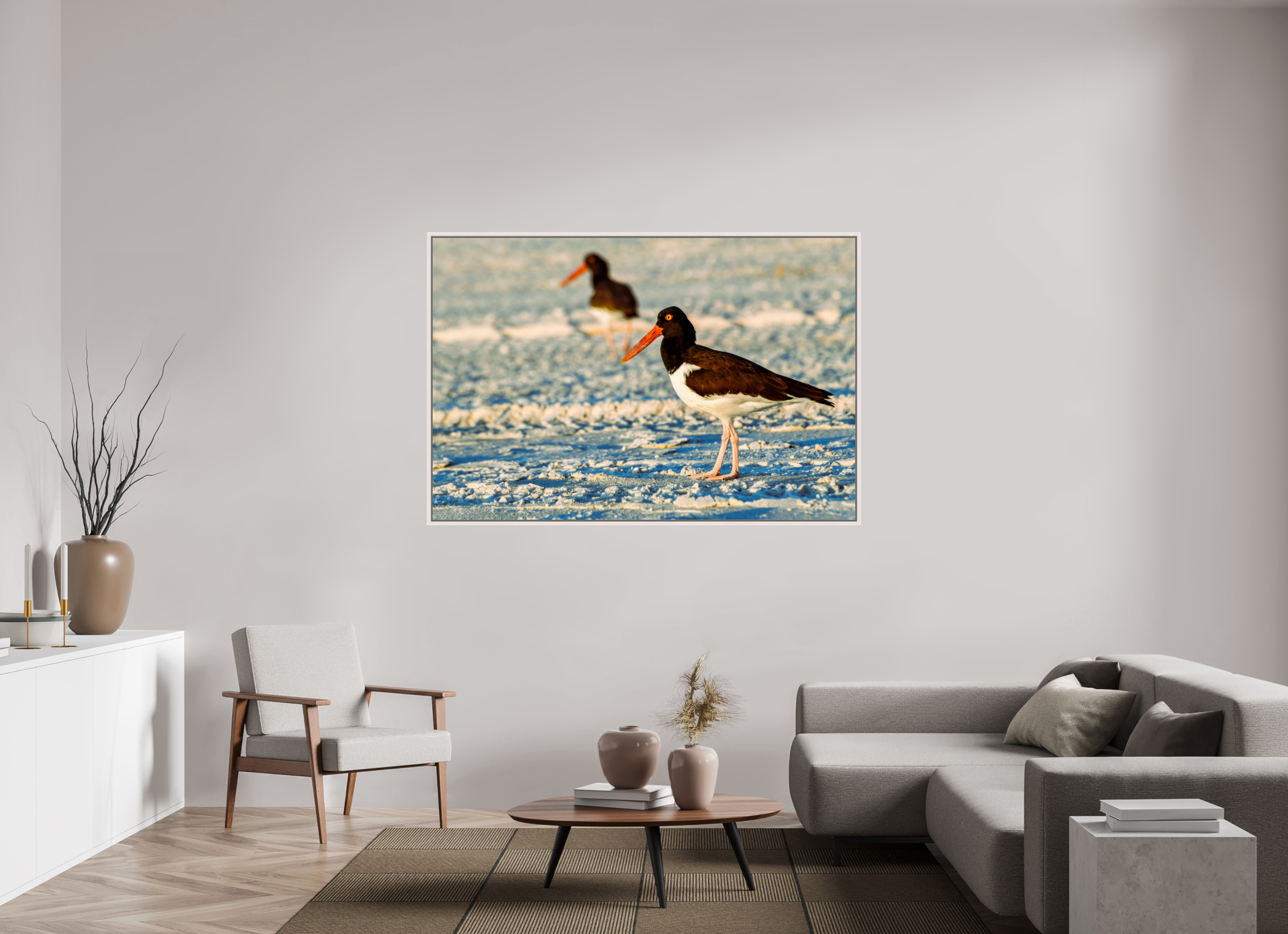 66 x 44″, Floater Frame, Basel 0.6", Maple White, Glossy Acrylic Glass Oystercatcher Stroll