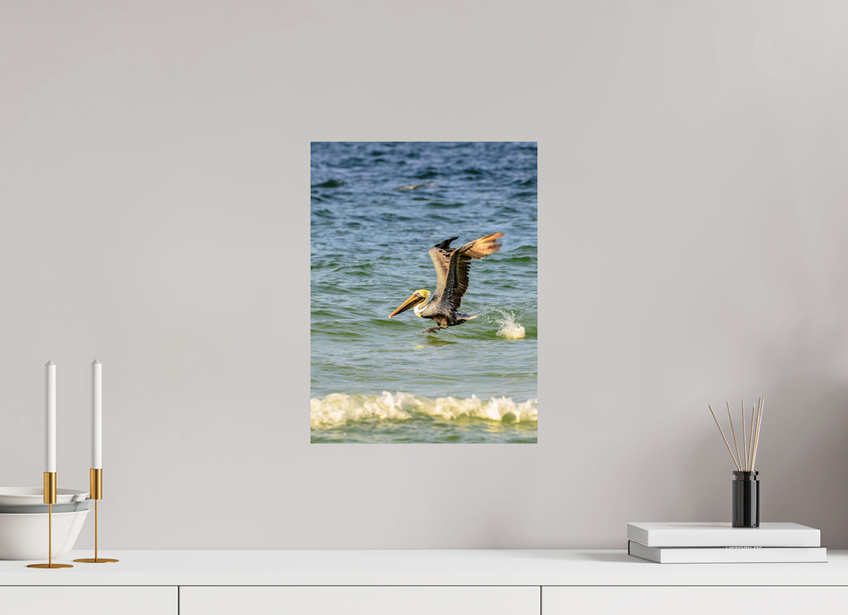 12 x 16″, Photo Print On Fuji Crystal DP II Pelican in Flight
