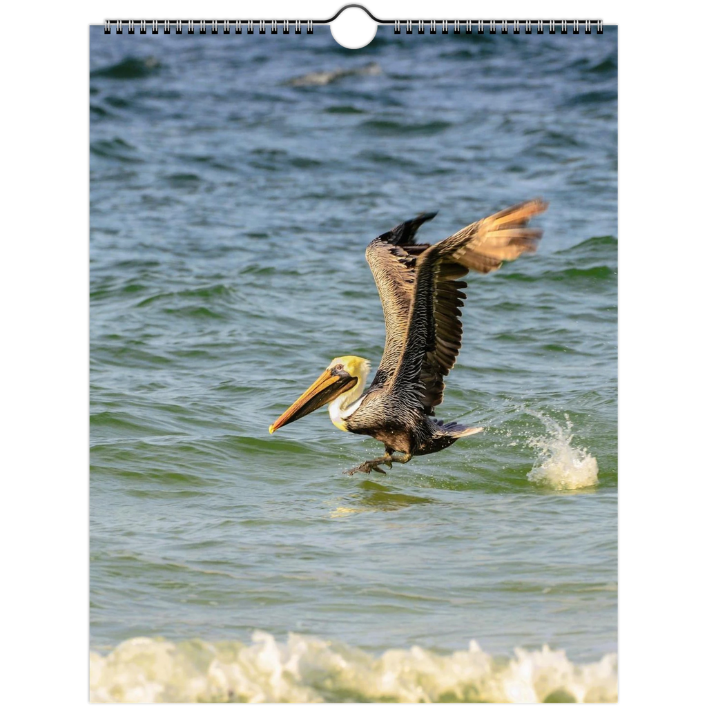 5052e215-1c68-42aa-ade2-f9918a6b03c3